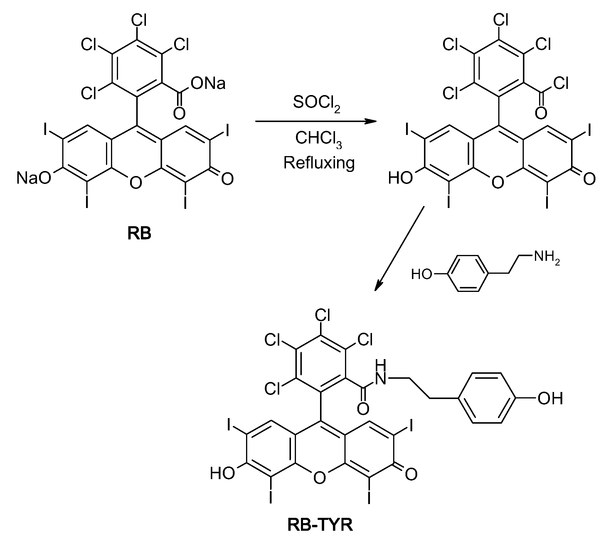 Ijms 21 04456 g012 Ijms 21 04456 g012