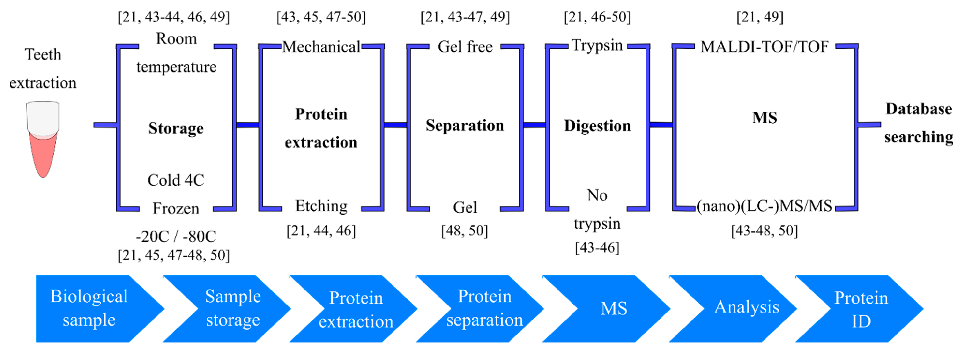 Ijms 21 04458 g002 Ijms 21 04458 g002
