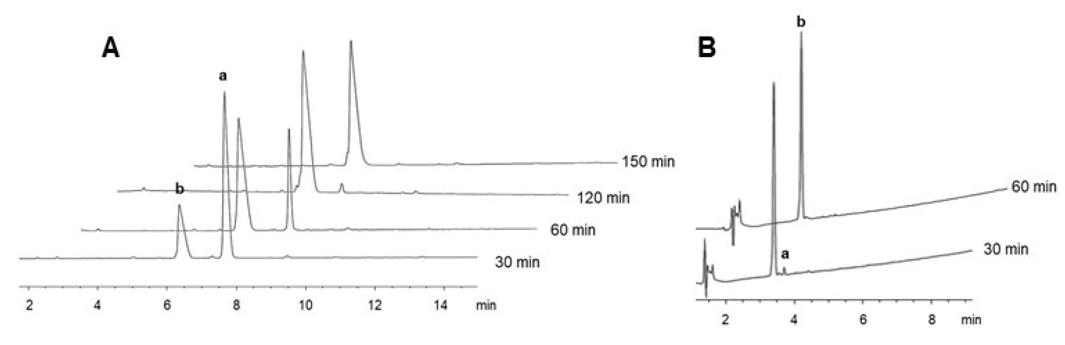Ijms 21 04464 g005 Ijms 21 04464 g005