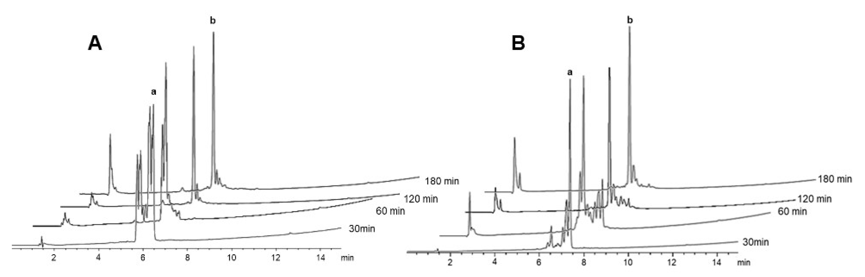 Ijms 21 04464 g007 Ijms 21 04464 g007