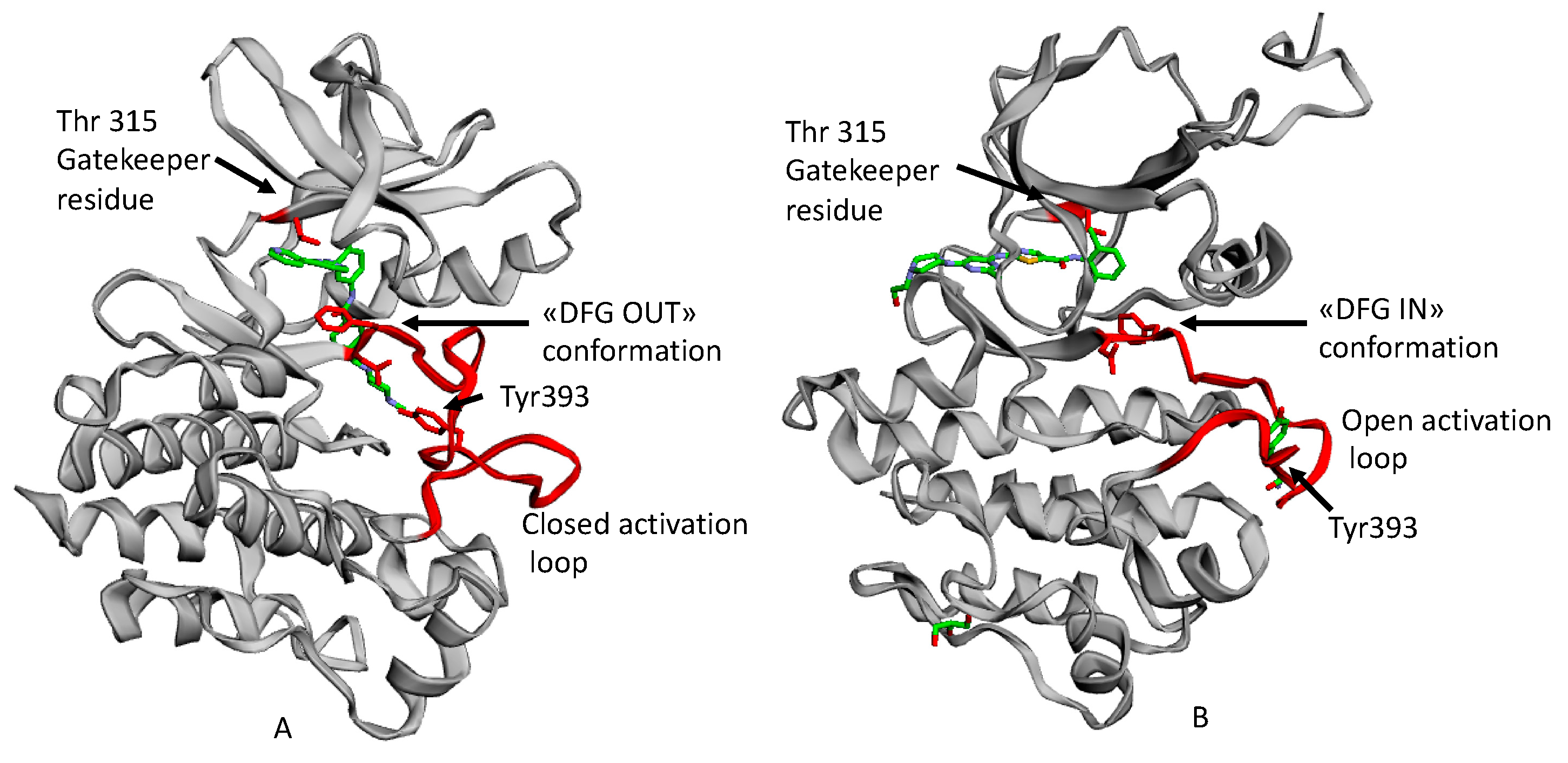 Ijms 21 04469 g001 Ijms 21 04469 g001