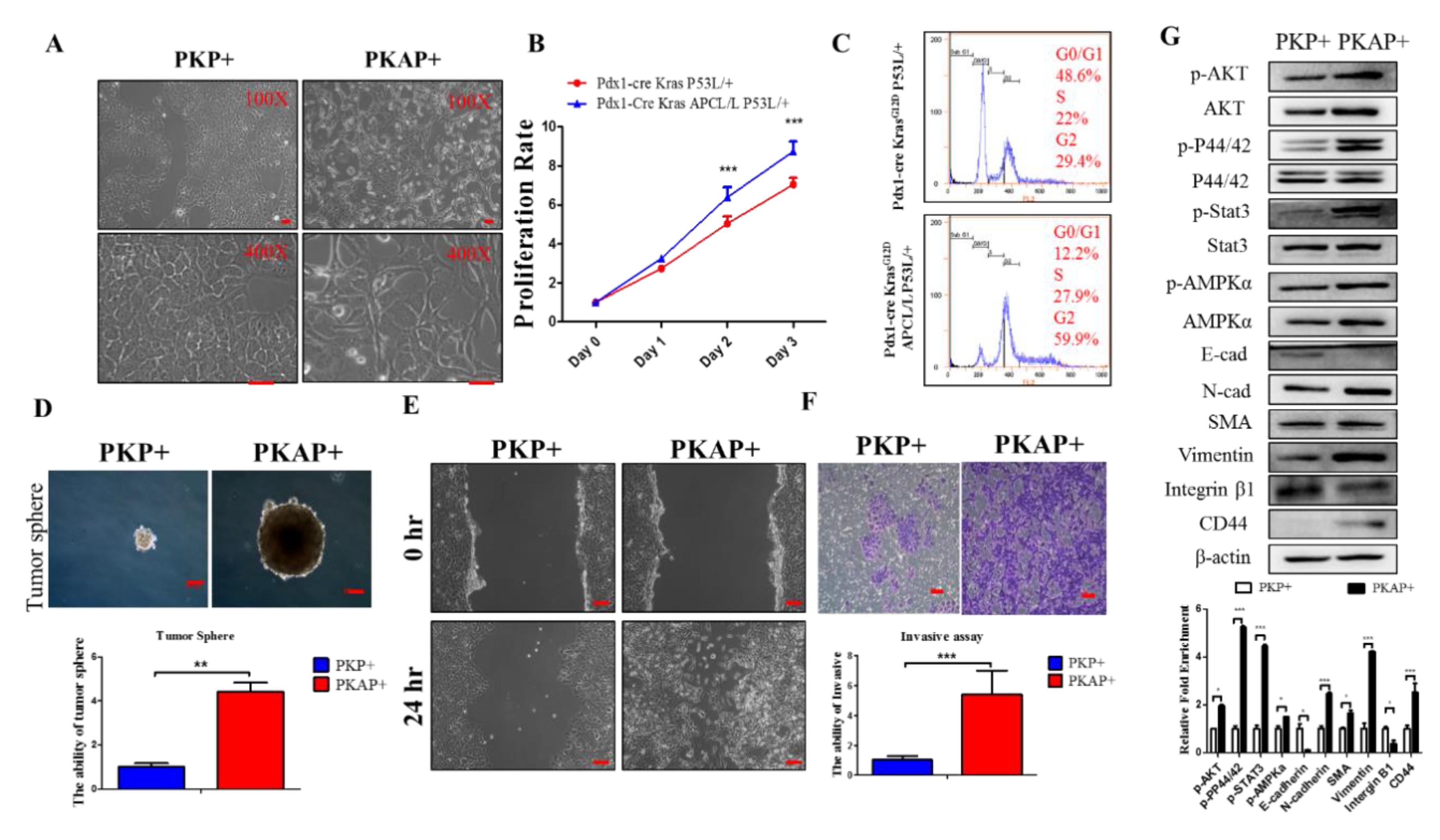 Ijms 21 04473 g002 Ijms 21 04473 g002