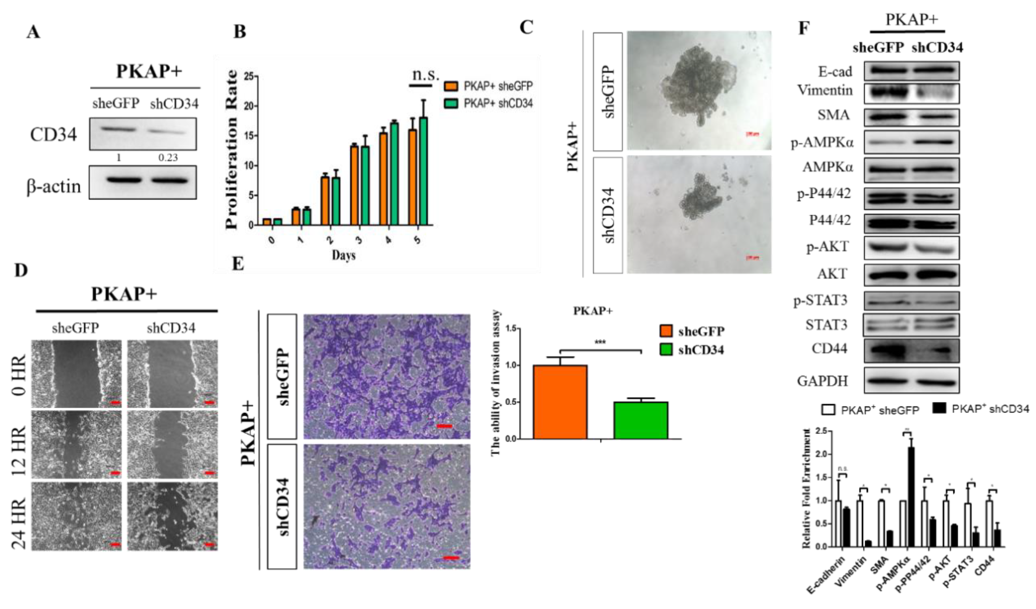 Ijms 21 04473 g004 Ijms 21 04473 g004