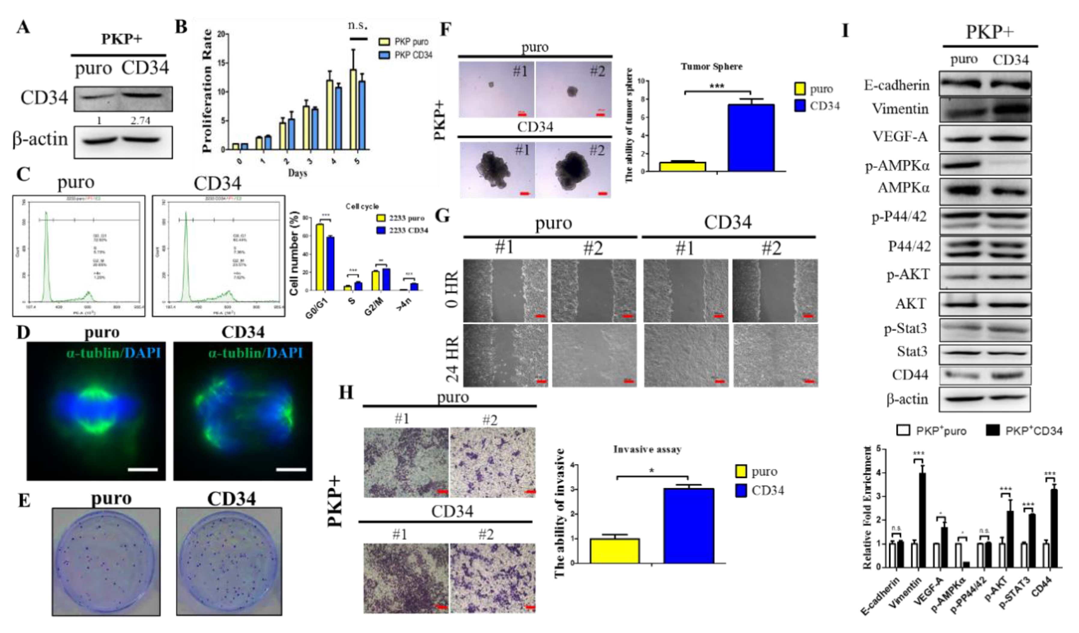 Ijms 21 04473 g005 Ijms 21 04473 g005