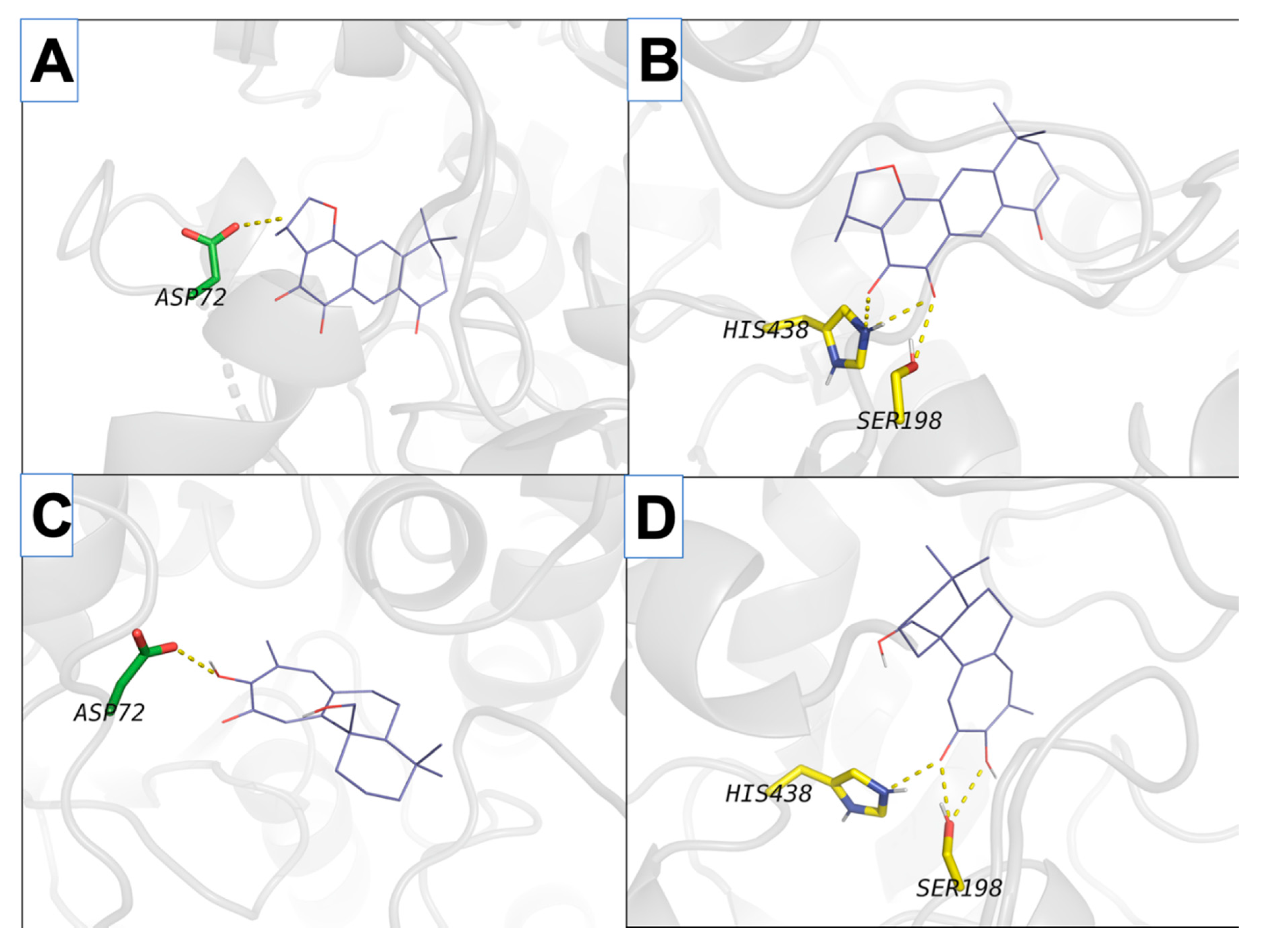 Ijms 21 04475 g004 Ijms 21 04475 g004