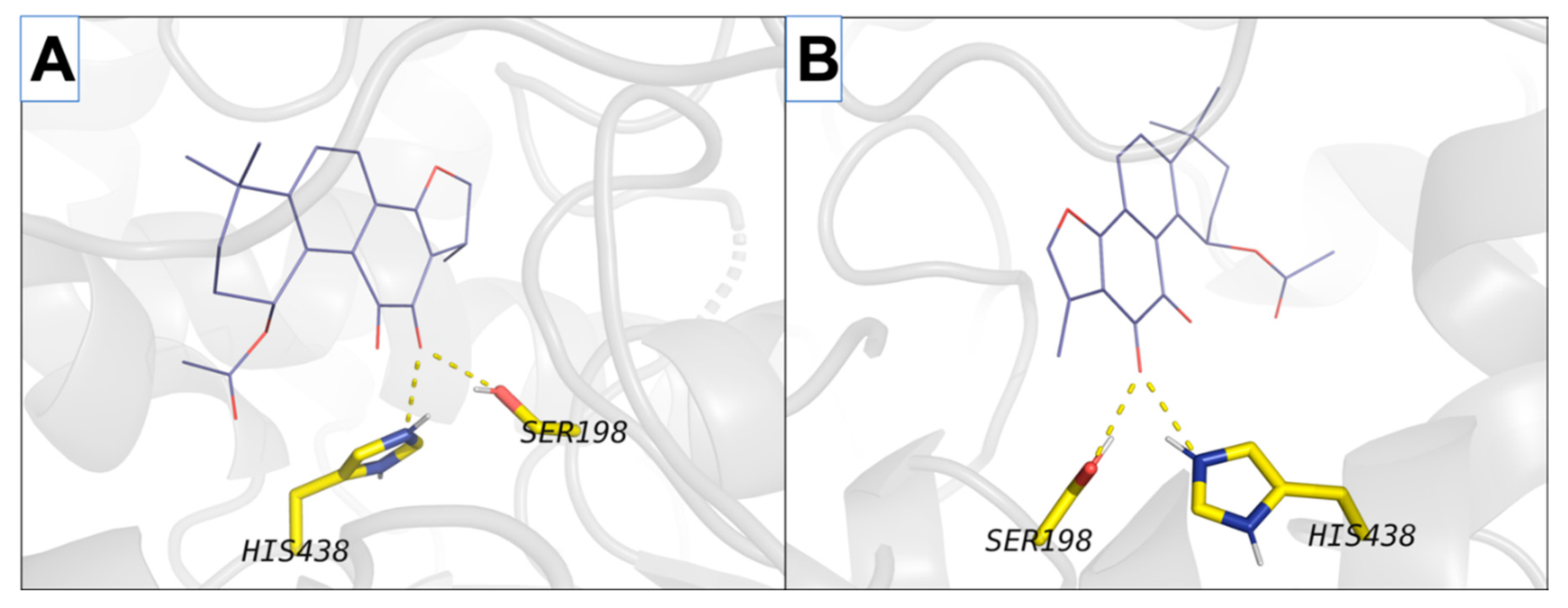 Ijms 21 04475 g005 Ijms 21 04475 g005