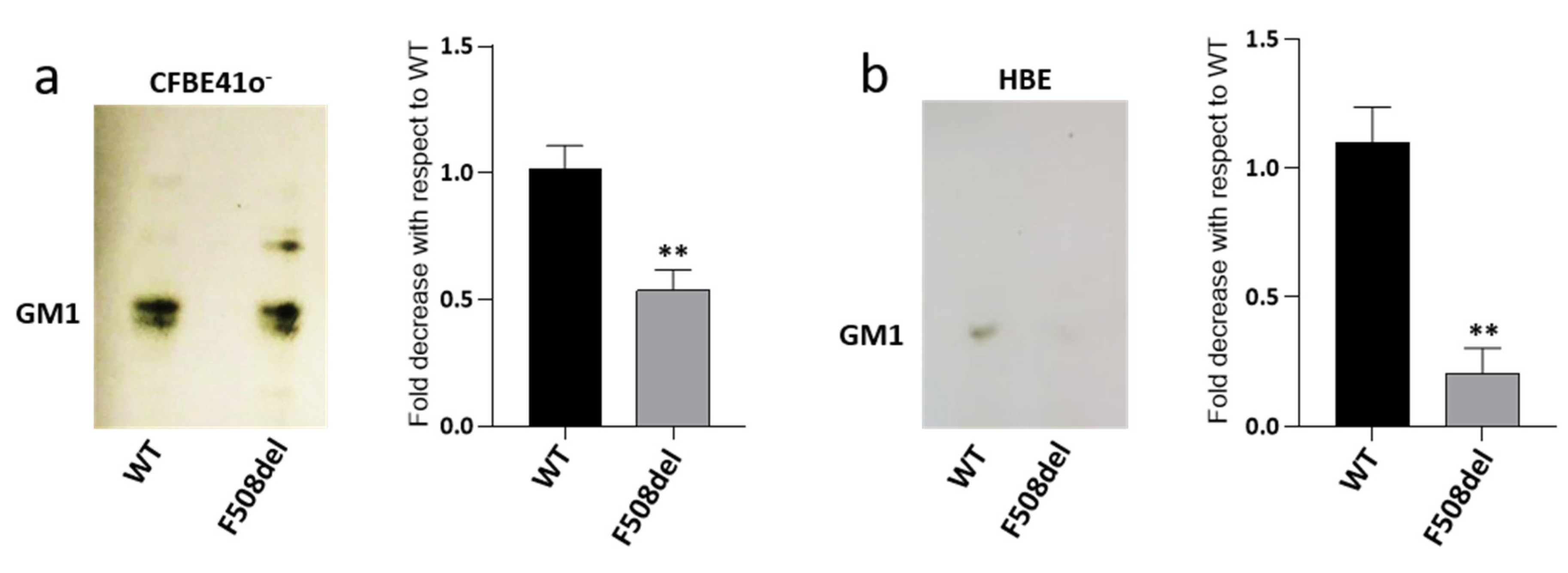 Ijms 21 04486 g001 Ijms 21 04486 g001