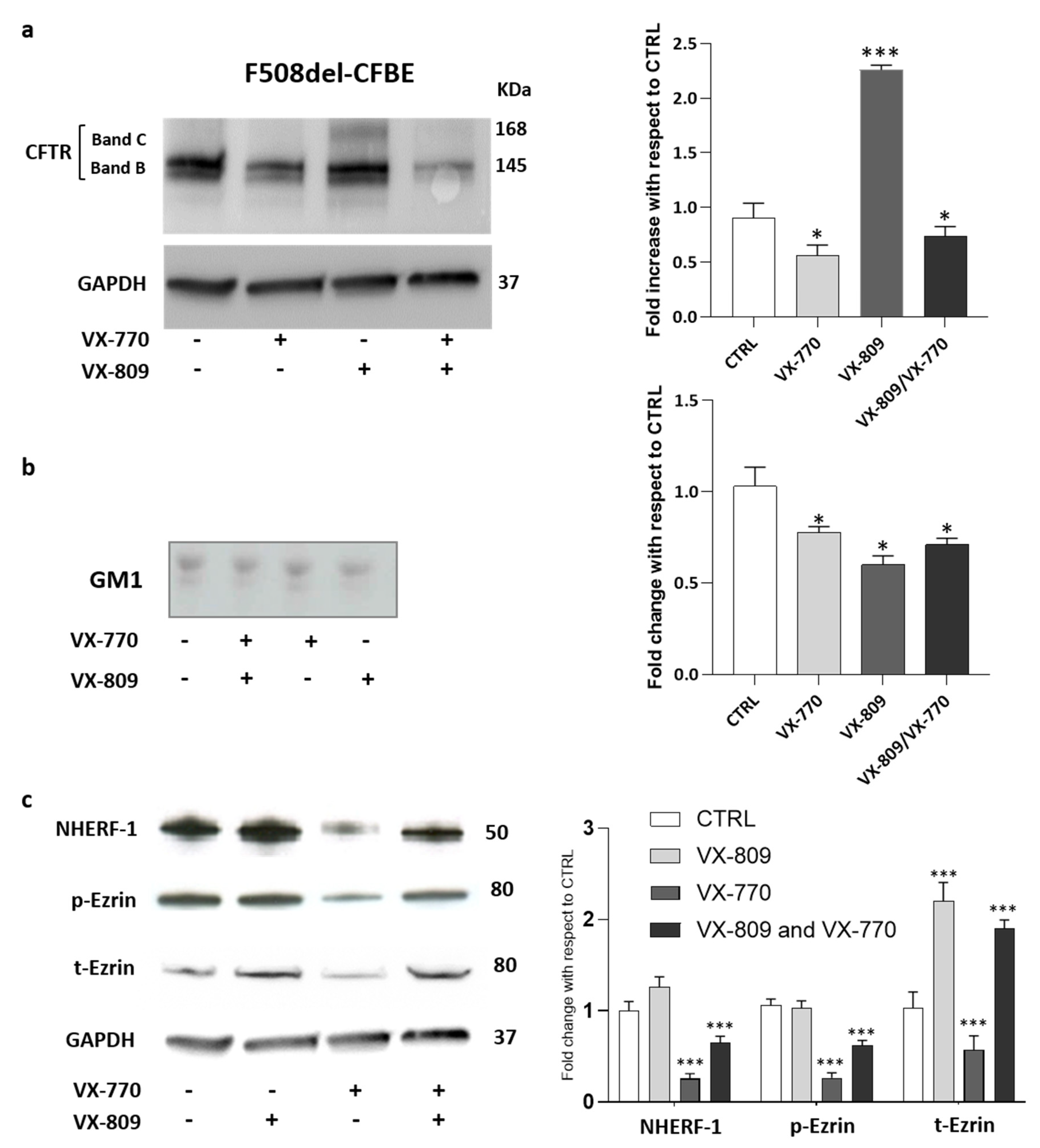 Ijms 21 04486 g003 Ijms 21 04486 g003