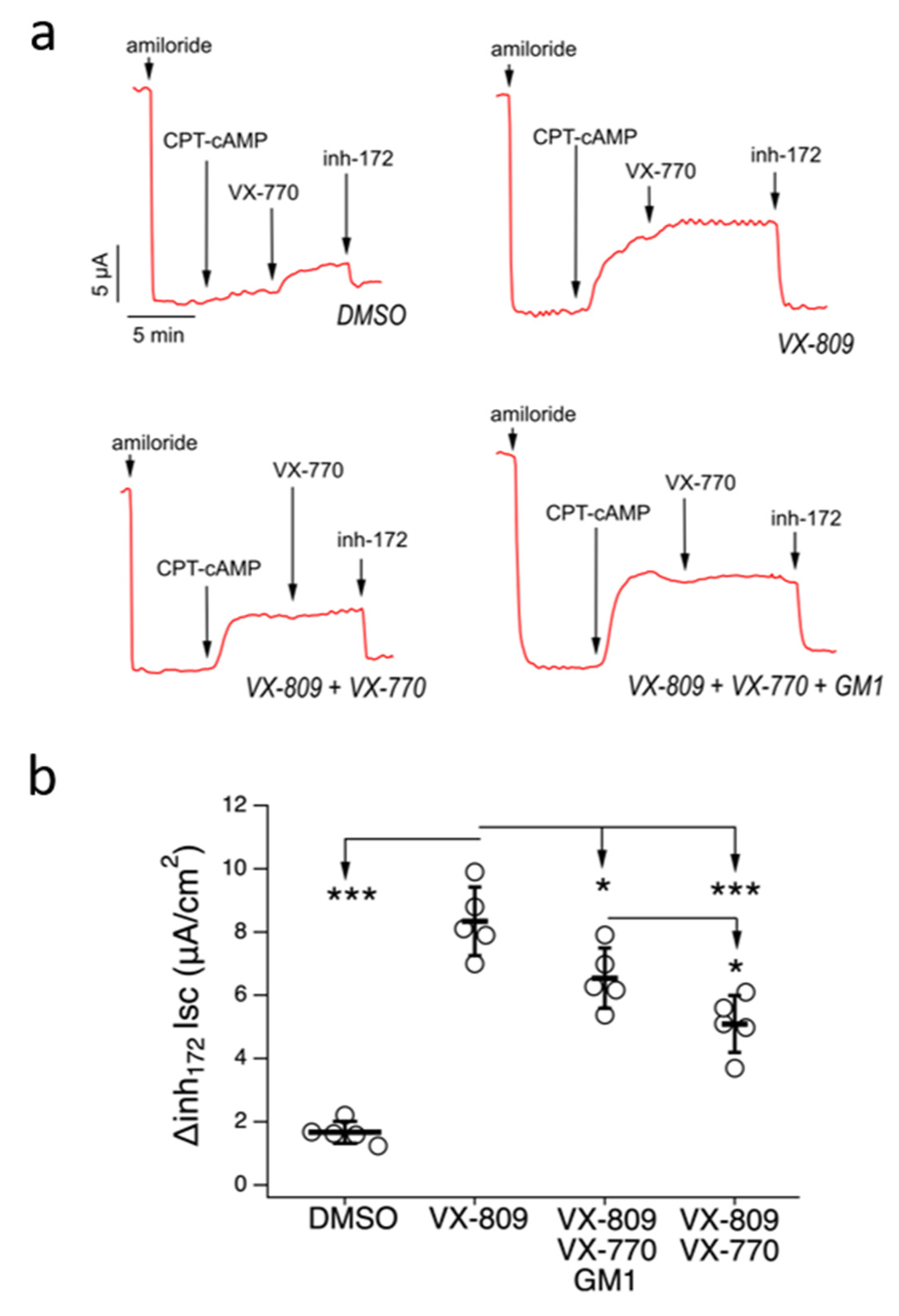 Ijms 21 04486 g006 Ijms 21 04486 g006