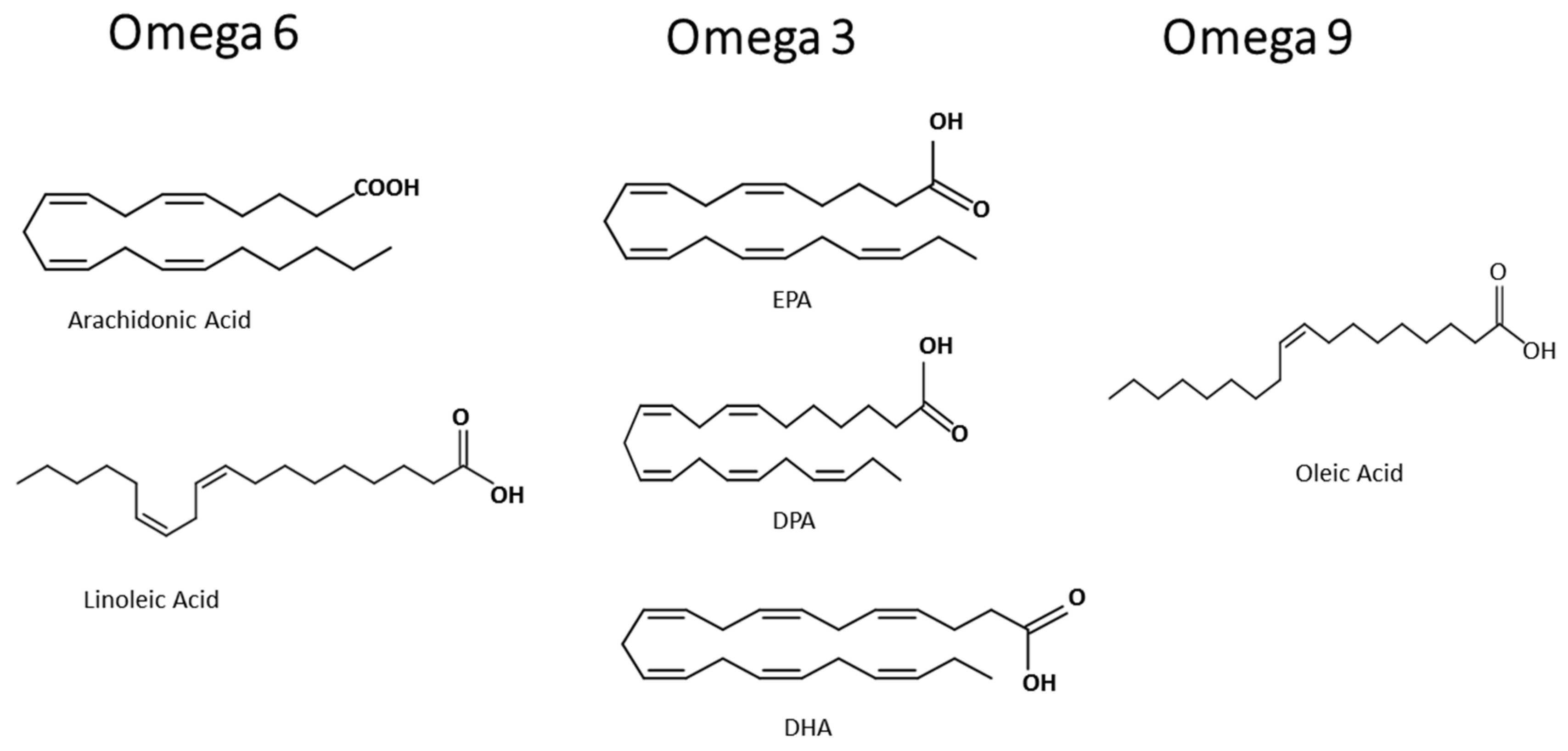 Three families of unsaturated fatty acids Image credit. 