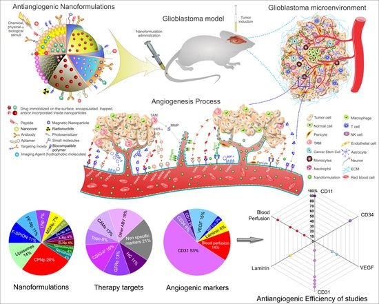 Ijms Free Full Text Antiangiogenic Targets For Glioblastoma Therapy From A Pre Clinical Approach Using Nanoformulations Html Ijms Free Full Text Antiangiogenic Targets For Glioblastoma Therapy From A Pre Clinical Approach Using Nanoformulations Html