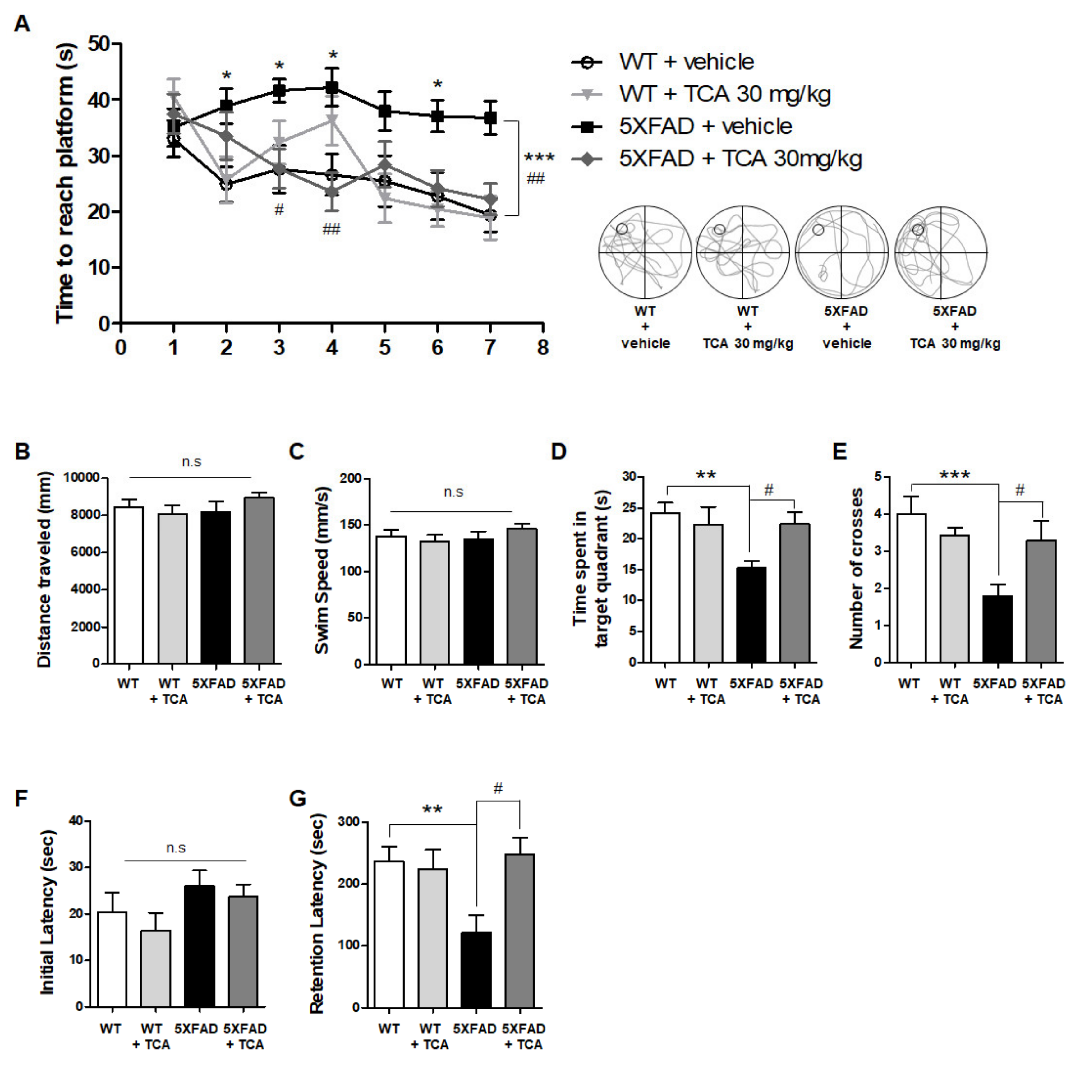 Ijms 21 04492 g002 Ijms 21 04492 g002