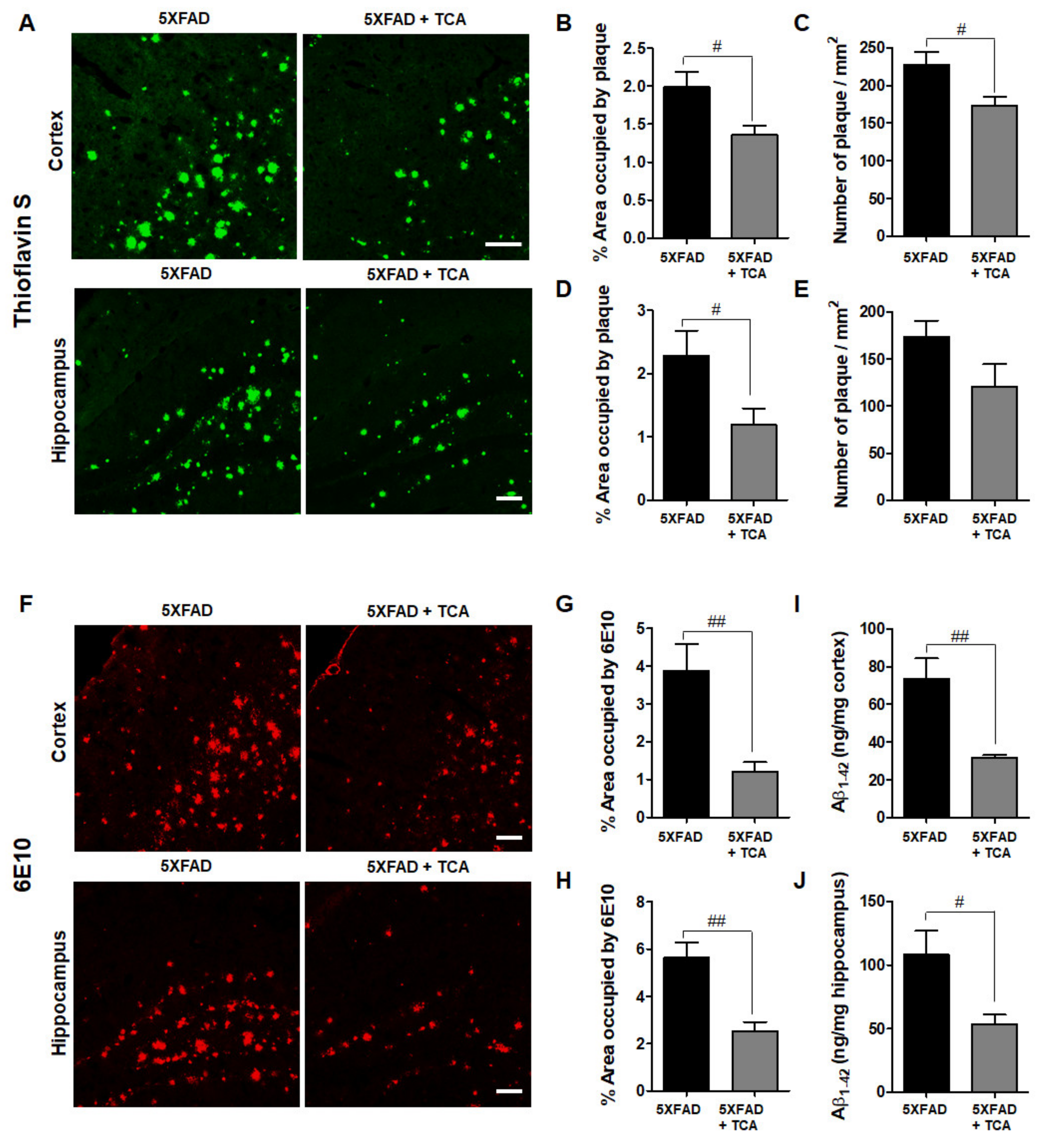 Ijms 21 04492 g003 Ijms 21 04492 g003