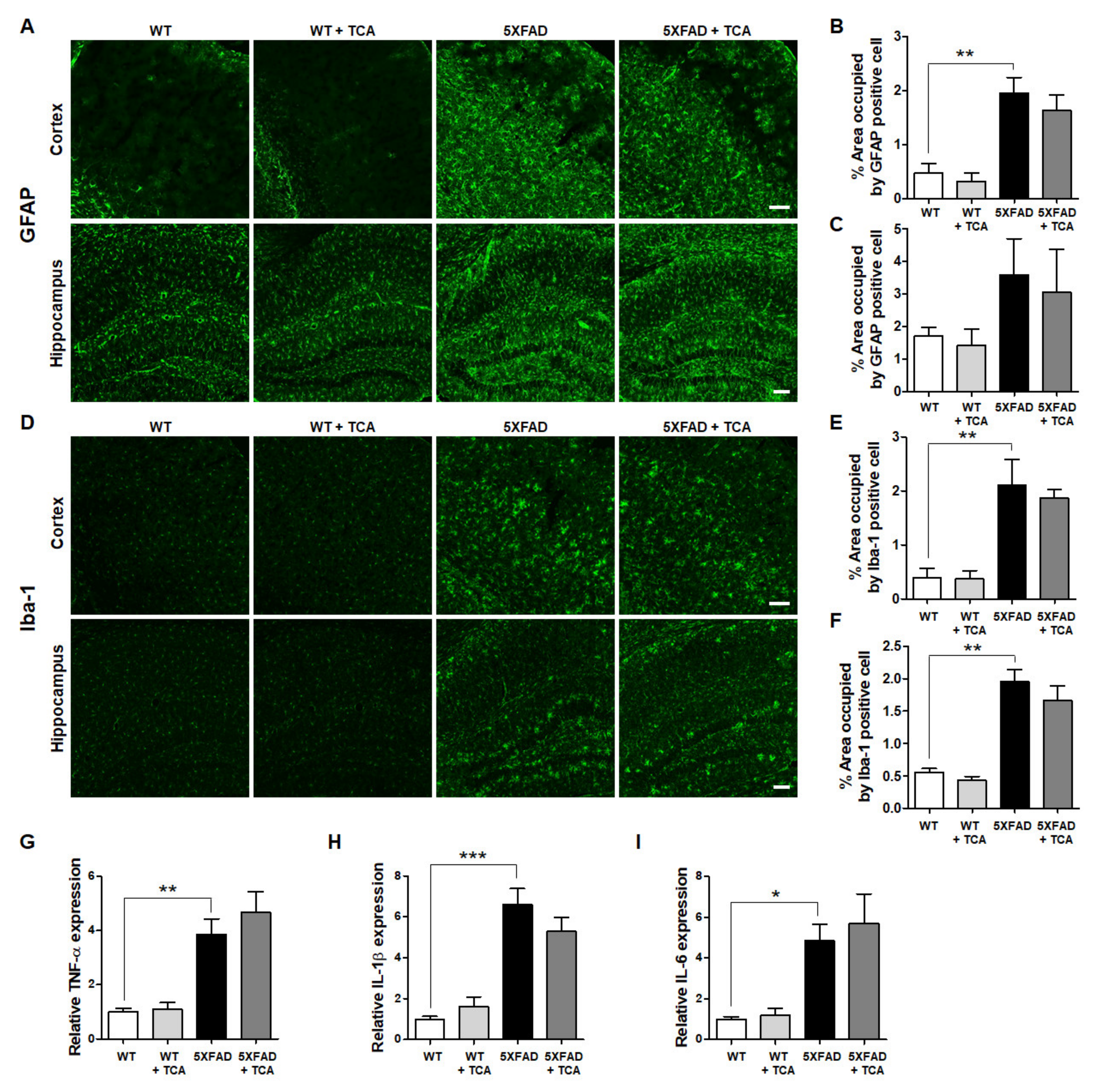 Ijms 21 04492 g005 Ijms 21 04492 g005