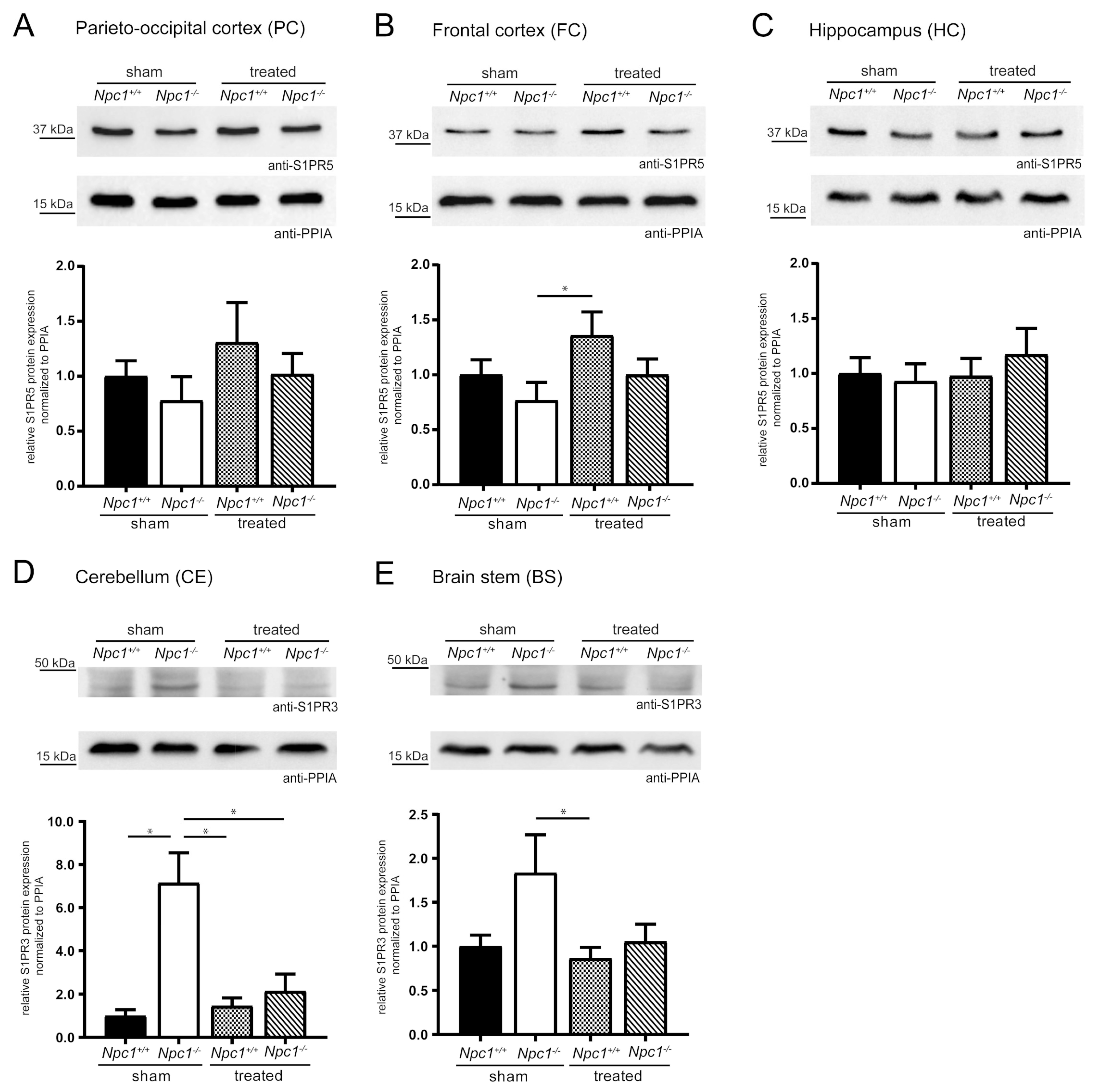 Ijms 21 04502 g004 Ijms 21 04502 g004