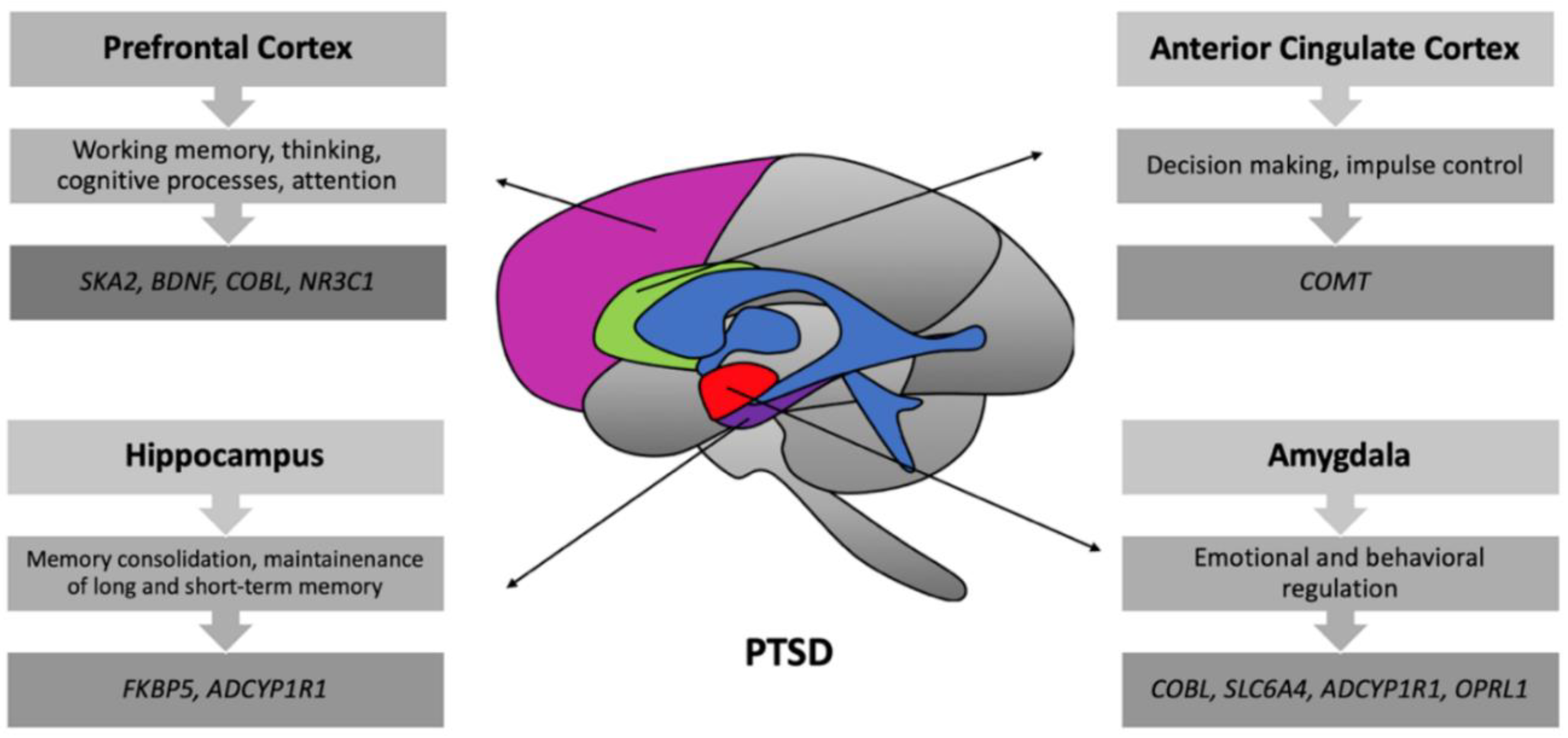 外傷後成長　PTG posttraumatic stress Post-Traumatic Growth: Definition, Examples, and How to Get It