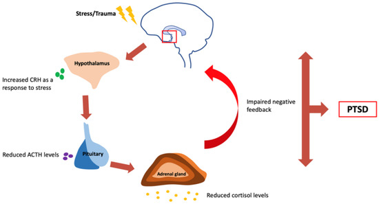 Genetic and Neuroimaging Approaches to Understanding Post