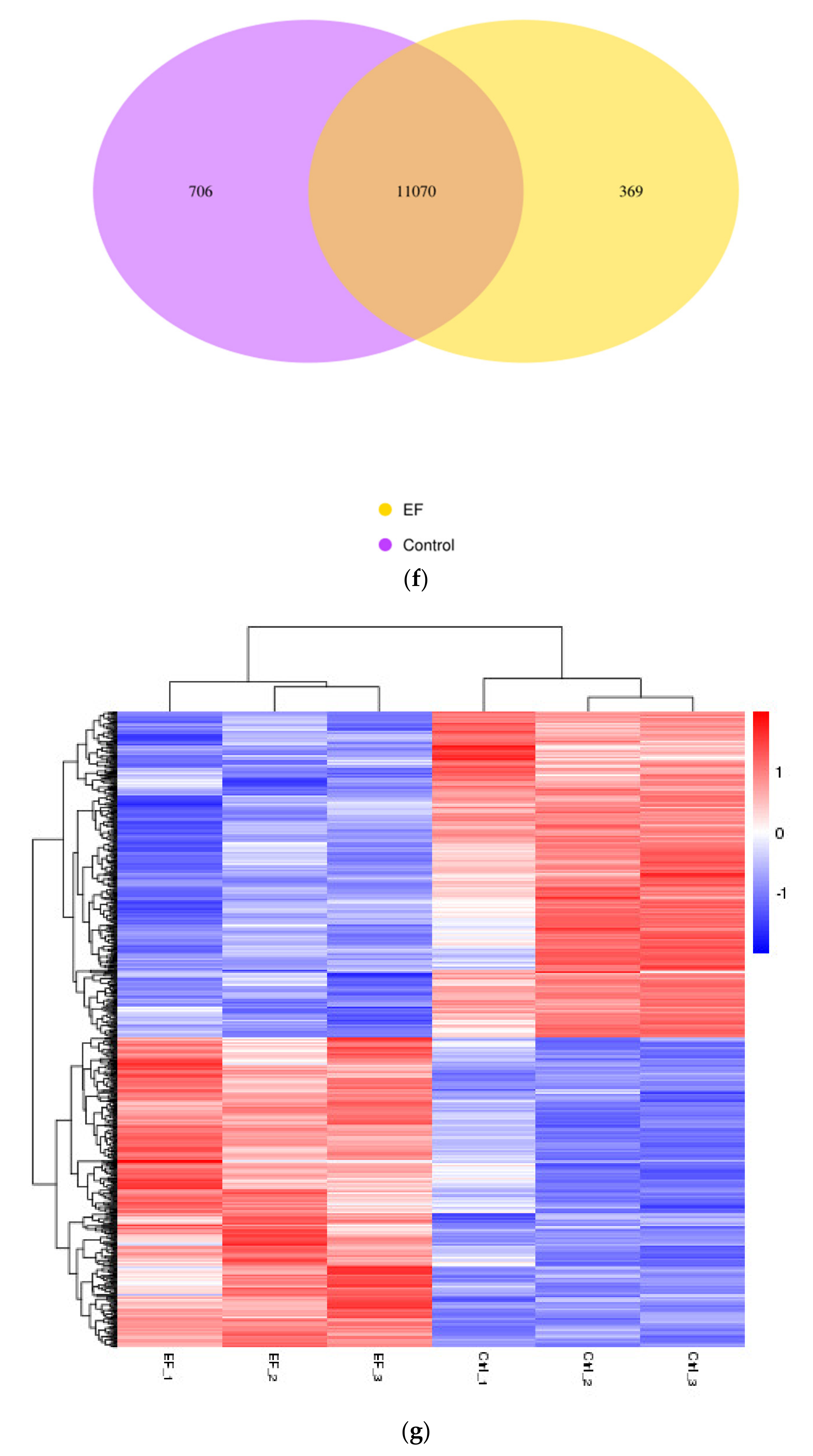 Ijms 21 04505 g001d Ijms 21 04505 g001d