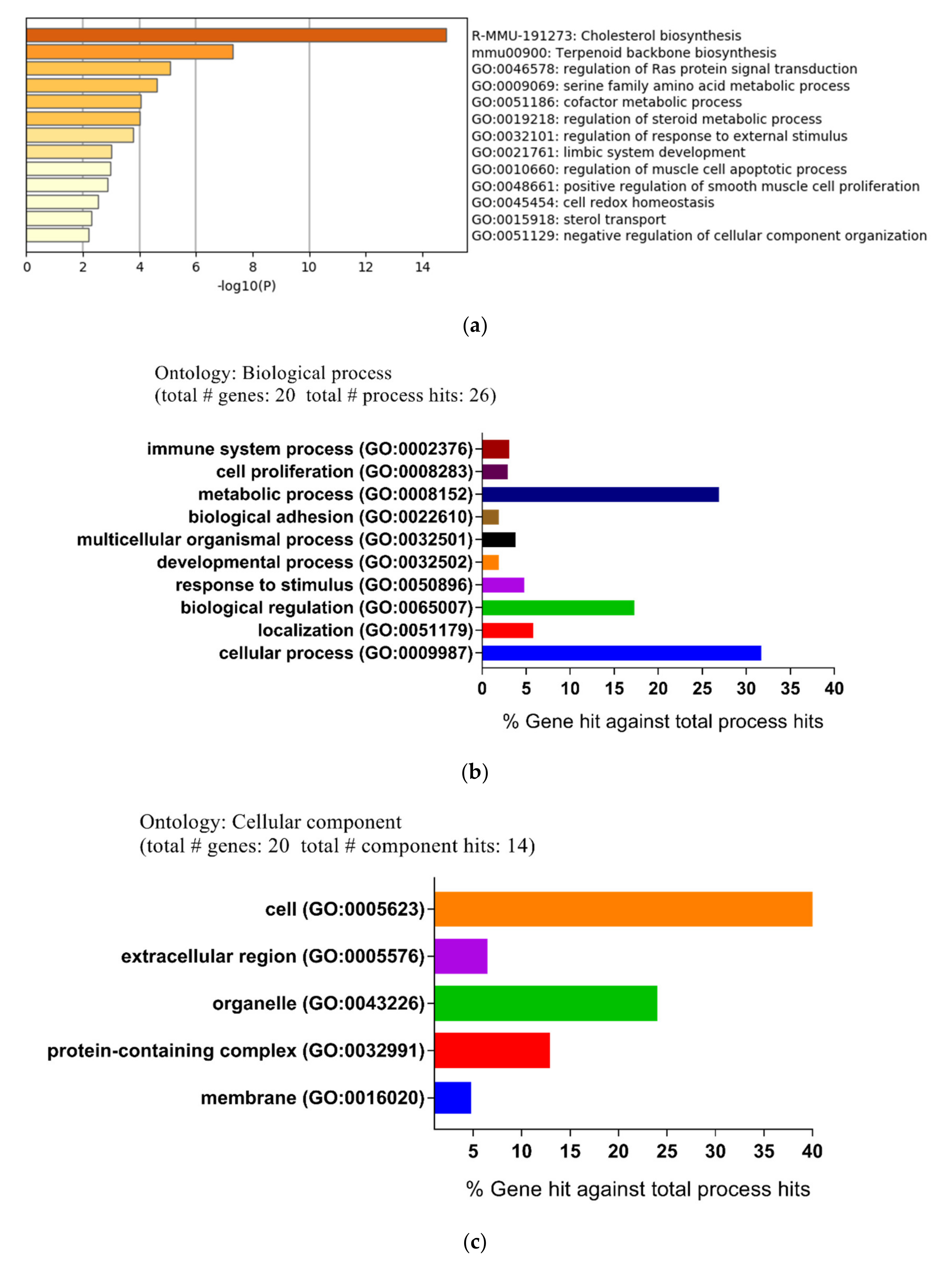 Ijms 21 04505 g002a Ijms 21 04505 g002a