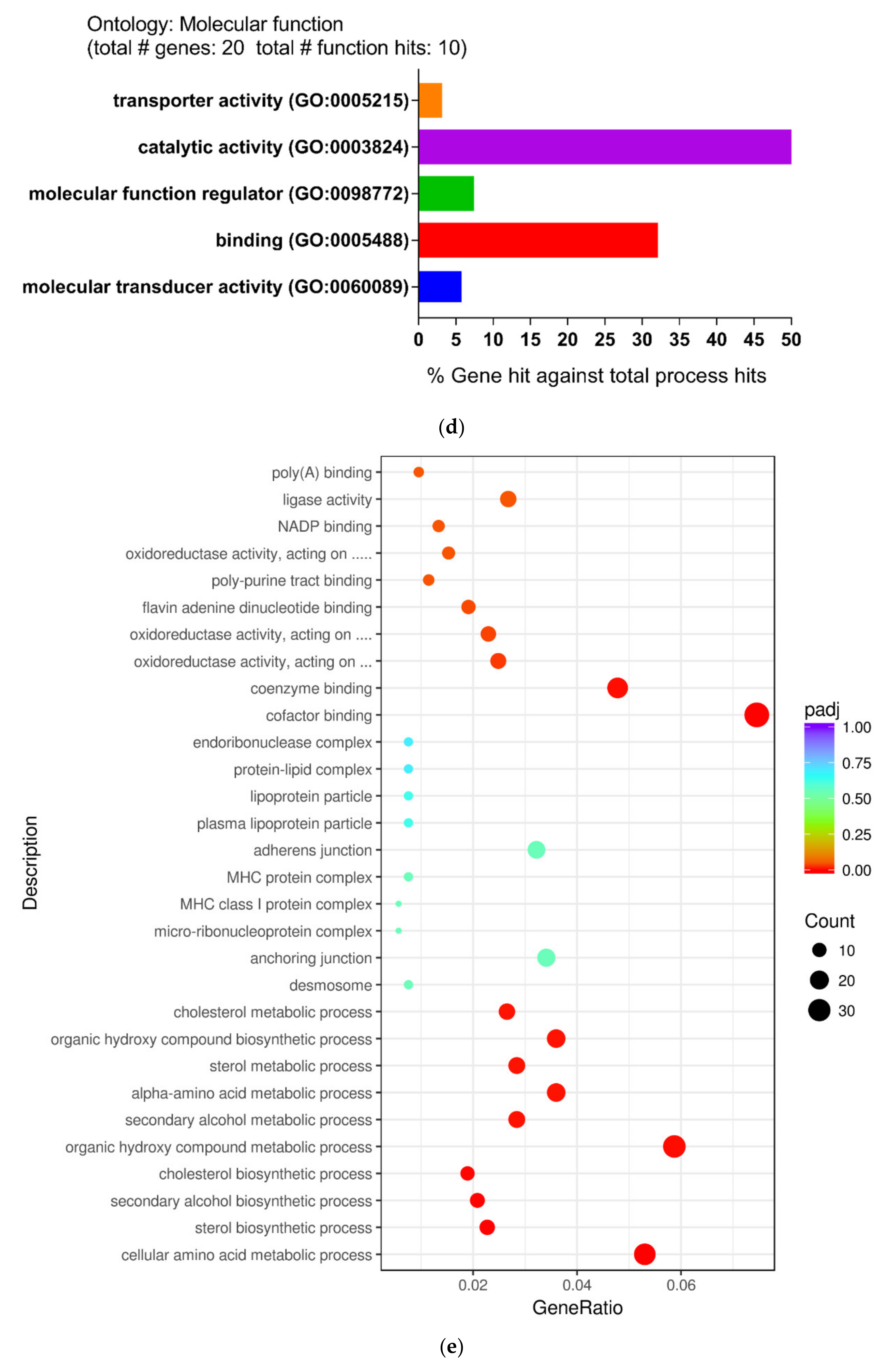 Ijms 21 04505 g002b Ijms 21 04505 g002b