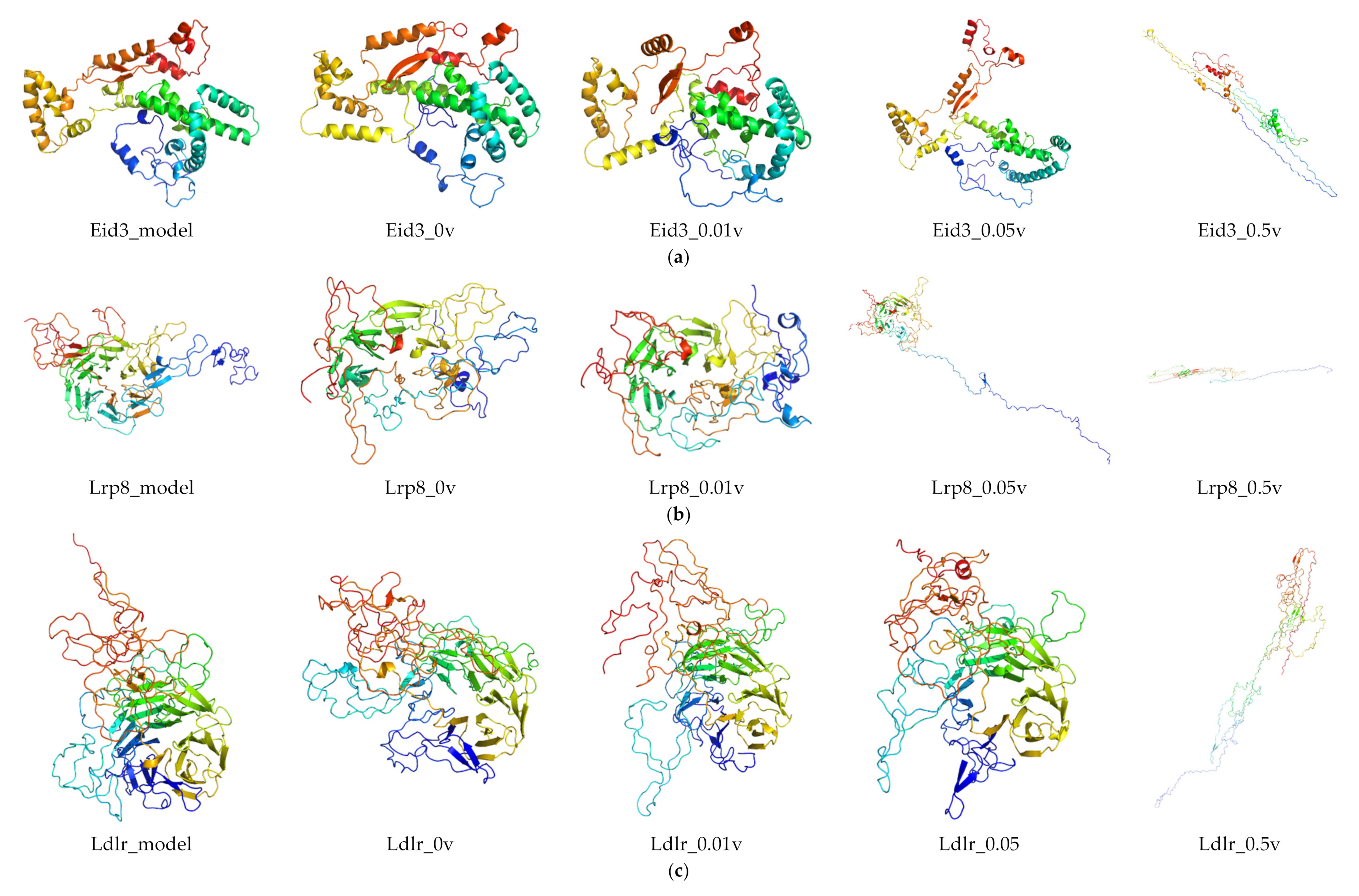 Ijms 21 04505 g005a Ijms 21 04505 g005a