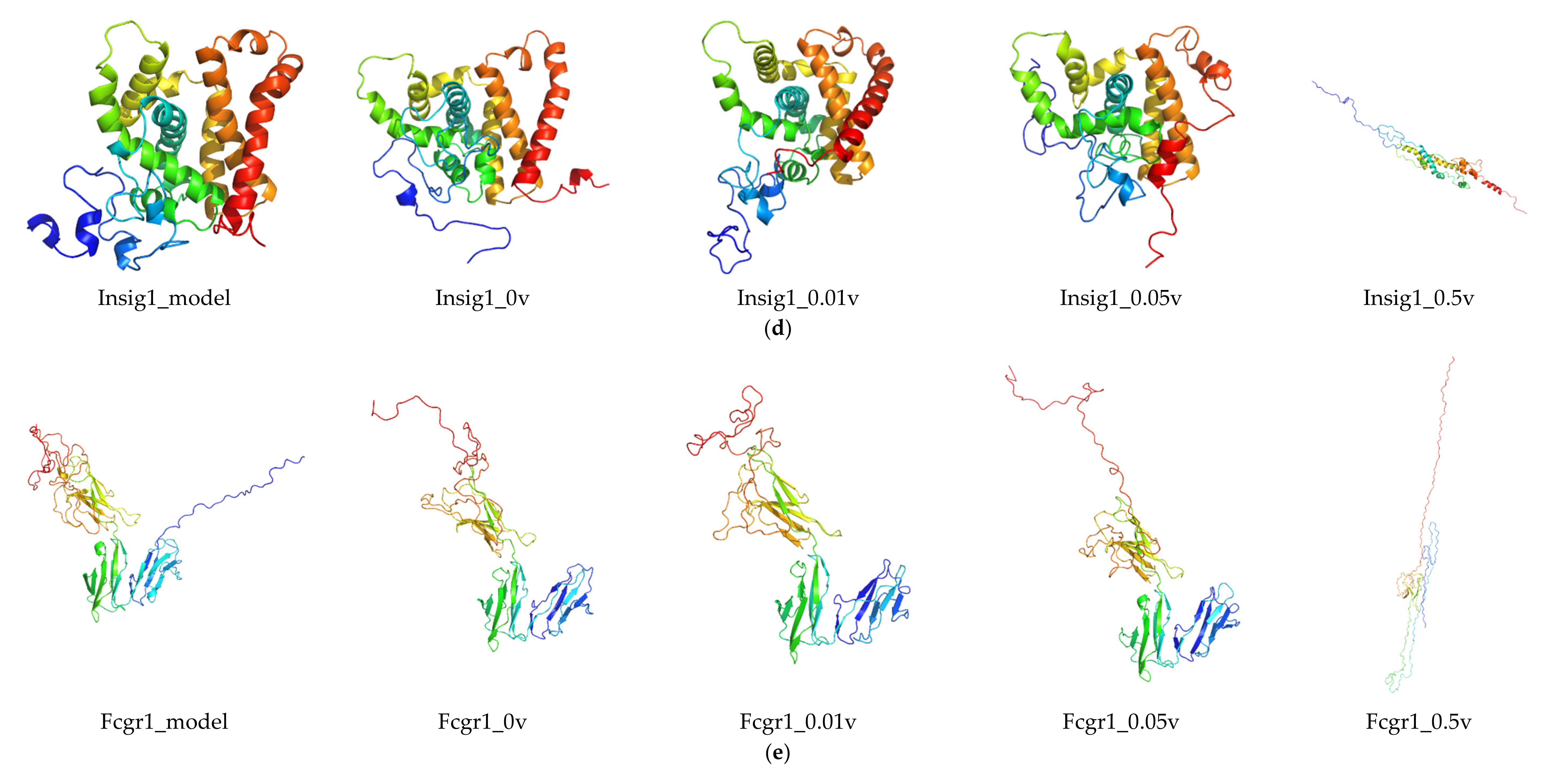 Ijms 21 04505 g005b Ijms 21 04505 g005b