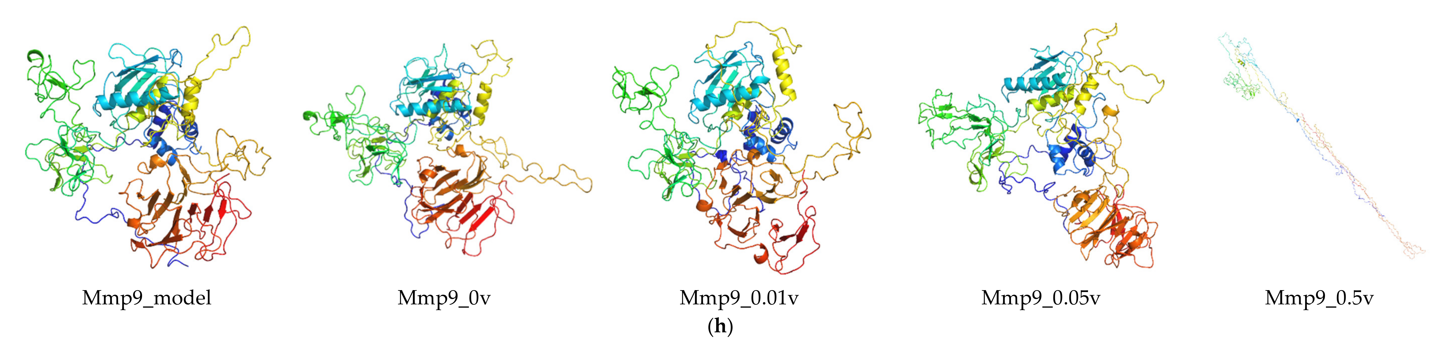 Ijms 21 04505 g005d Ijms 21 04505 g005d