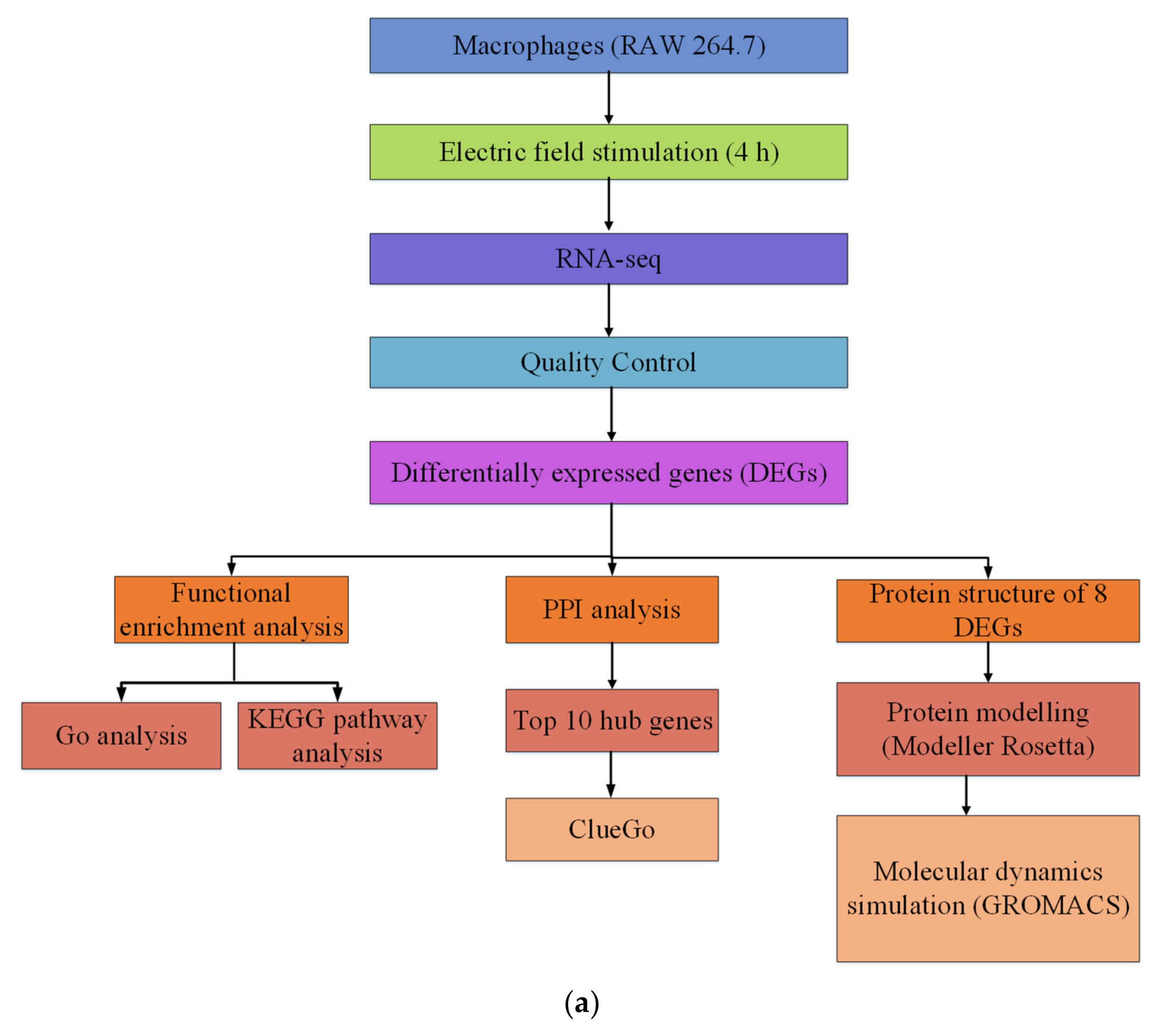 Ijms 21 04505 g008a Ijms 21 04505 g008a