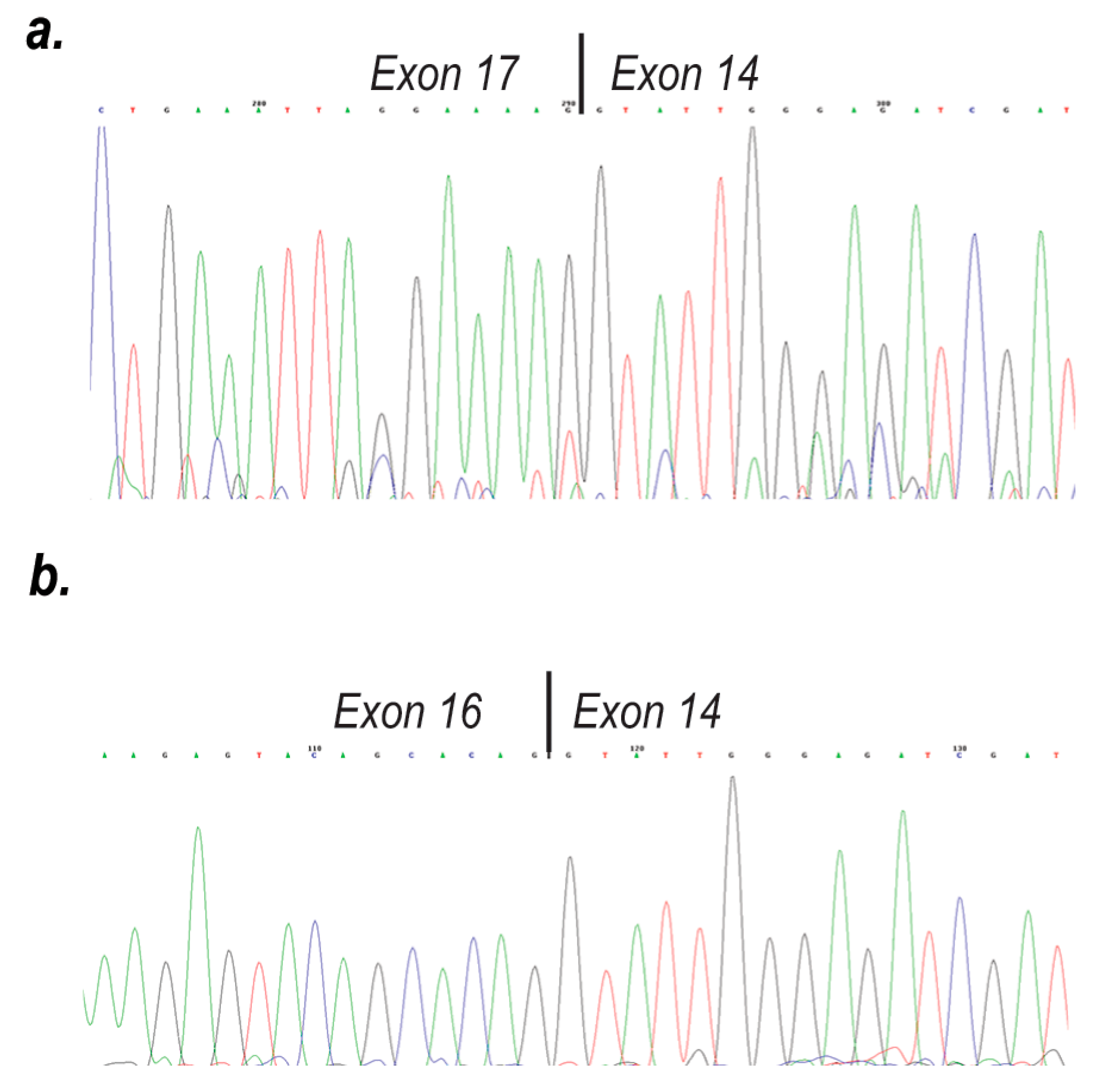 Ijms 21 04511 g004 Ijms 21 04511 g004