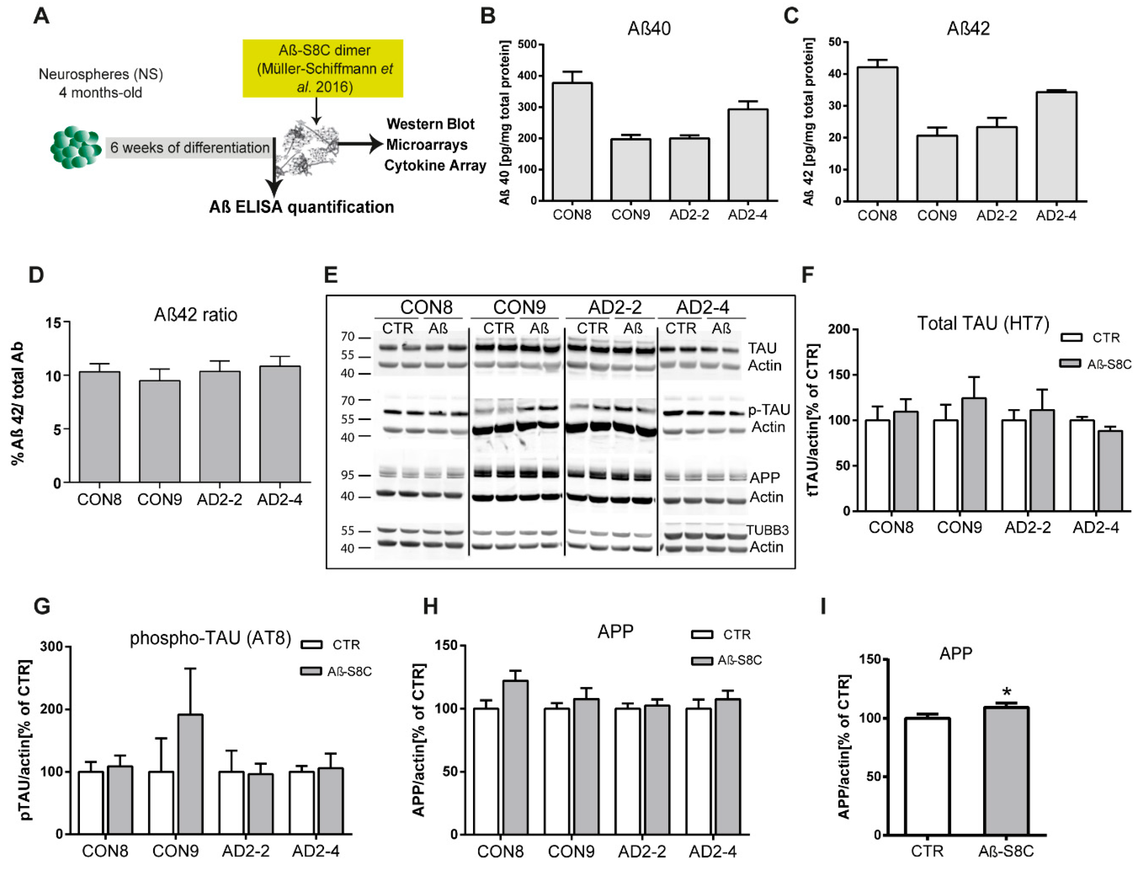 Ijms 21 04516 g003 Ijms 21 04516 g003