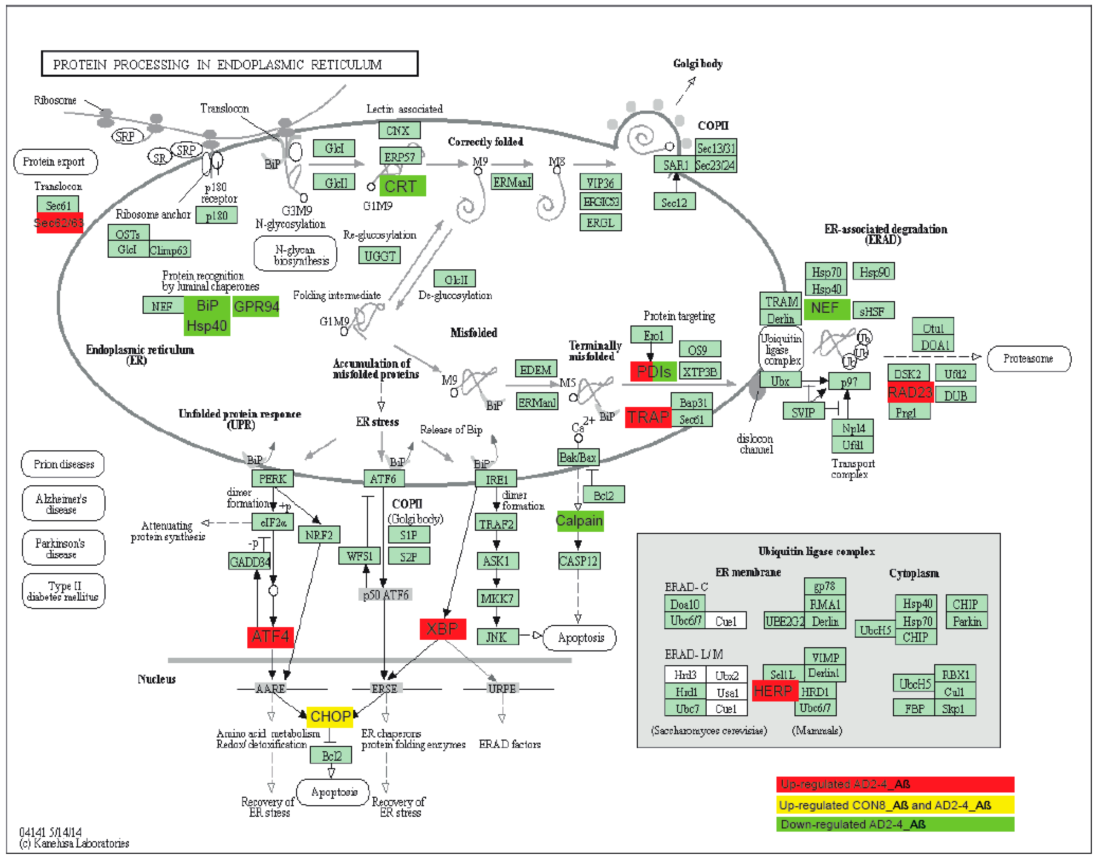 Ijms 21 04516 g008 Ijms 21 04516 g008