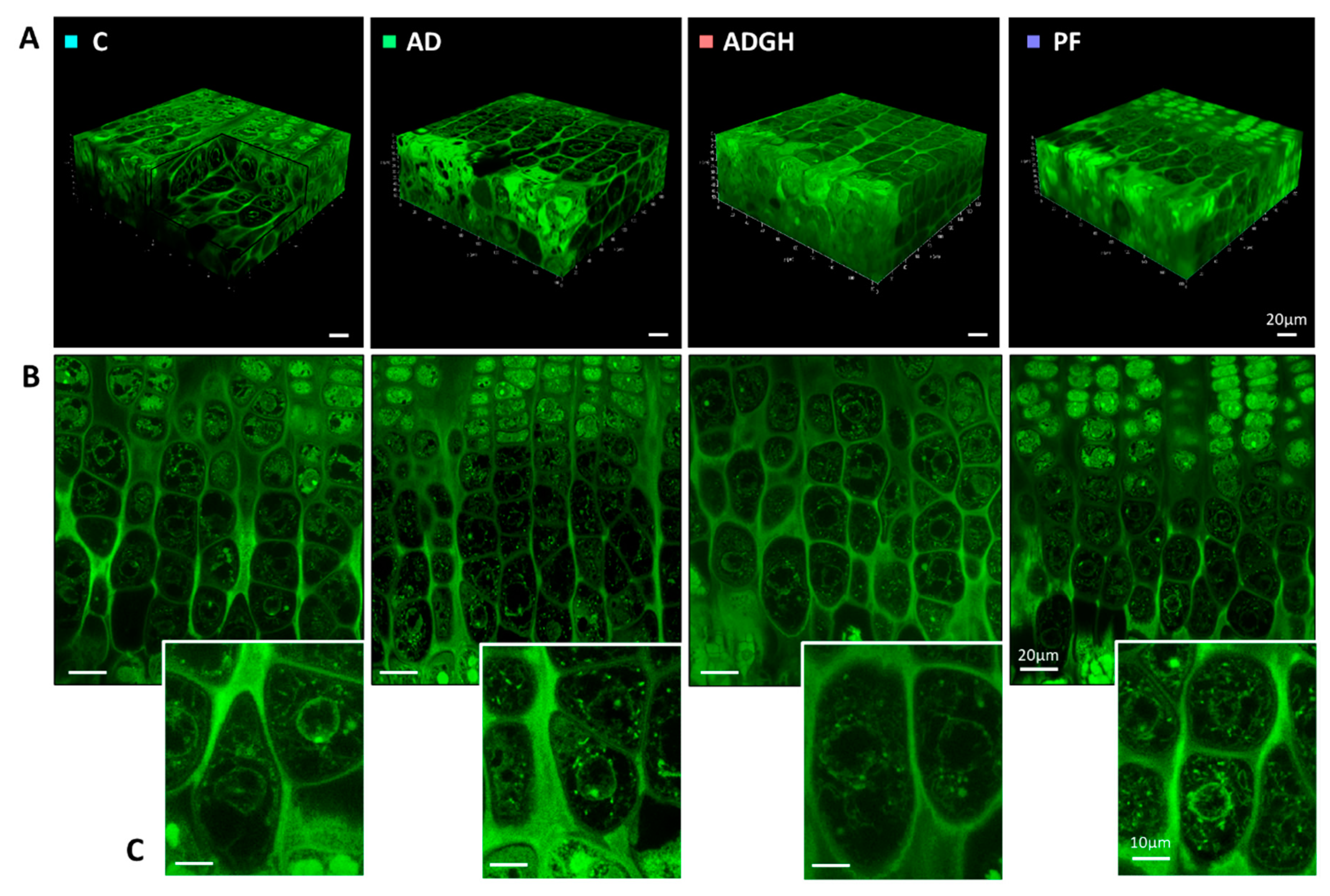 Ijms 21 04519 g001 Ijms 21 04519 g001