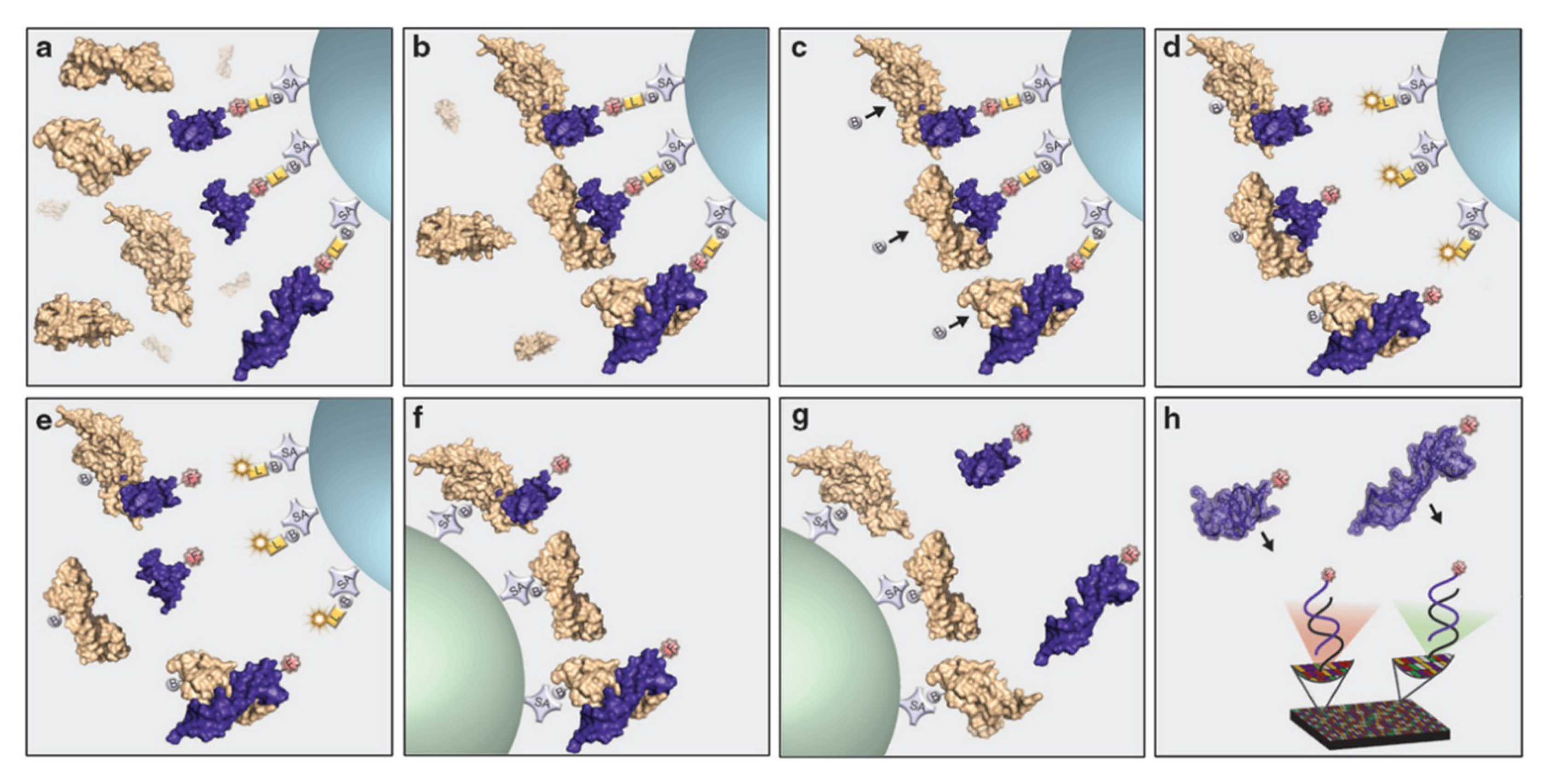 Ijms 21 04522 g008 Ijms 21 04522 g008