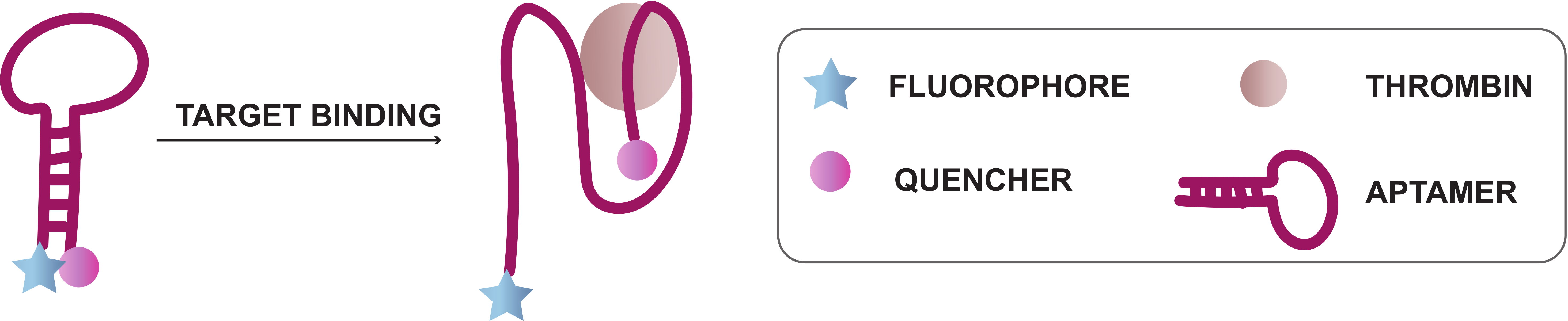 Ijms 21 04522 g013 Ijms 21 04522 g013