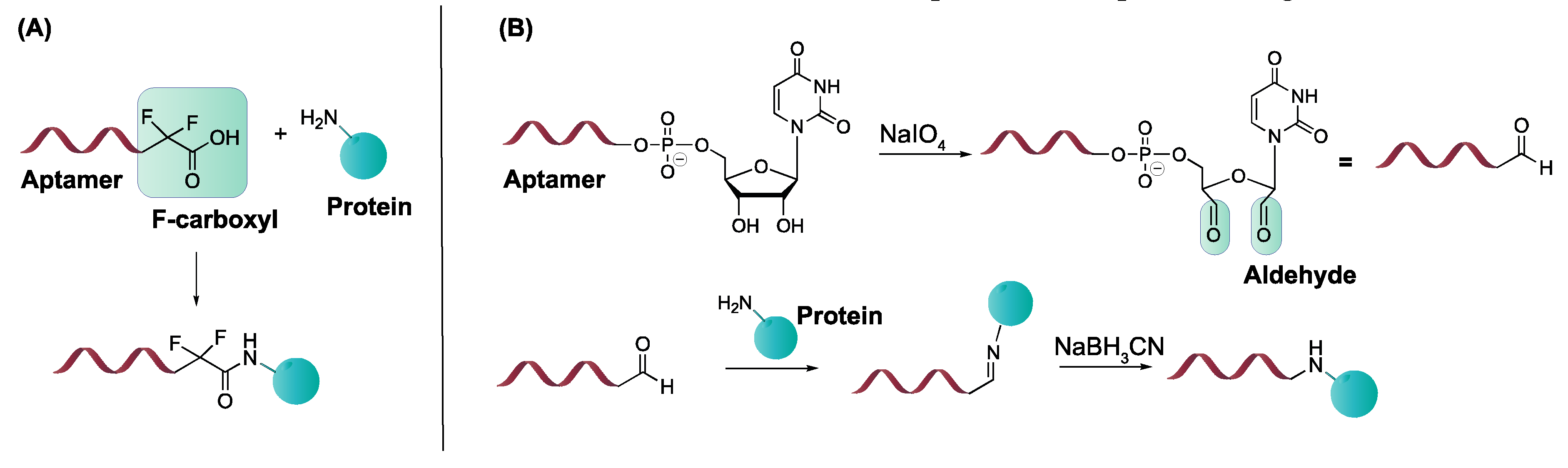 Ijms 21 04522 g017 Ijms 21 04522 g017