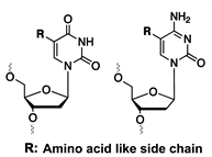 Ijms 21 04522 i001 Ijms 21 04522 i001