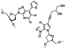 Ijms 21 04522 i003 Ijms 21 04522 i003