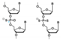Ijms 21 04522 i004 Ijms 21 04522 i004
