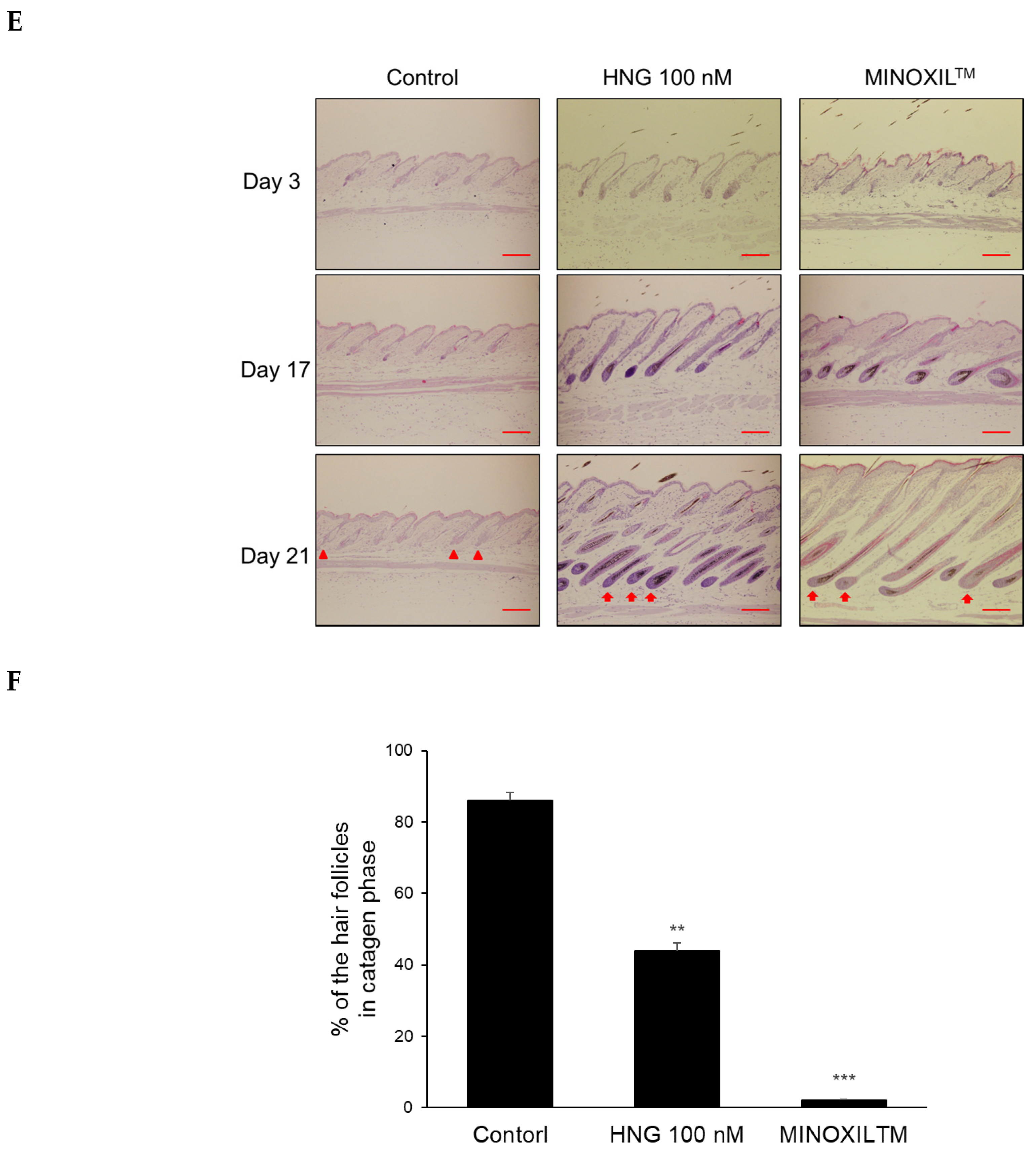 Ijms 21 04553 g003c Ijms 21 04553 g003c