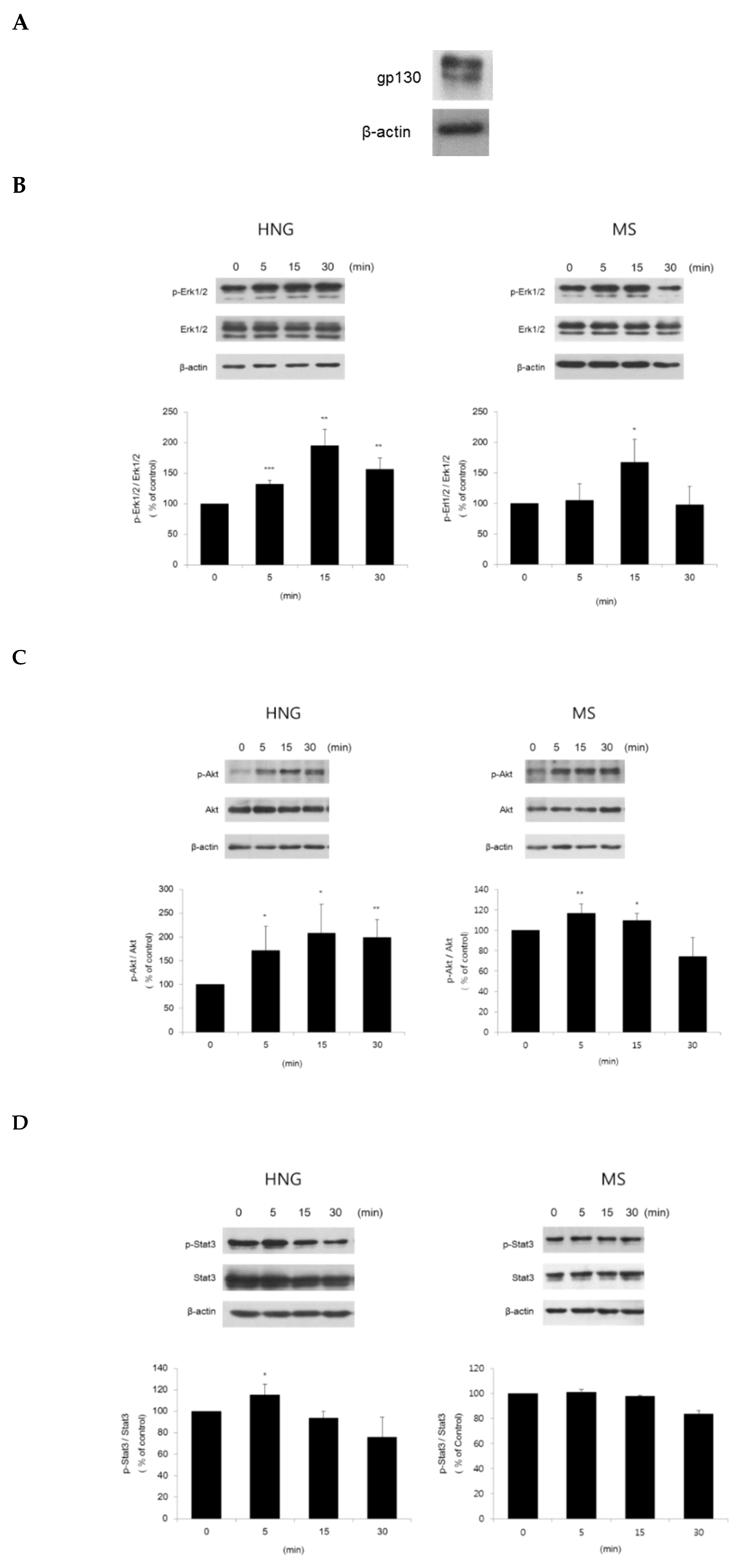 Ijms 21 04553 g004 Ijms 21 04553 g004