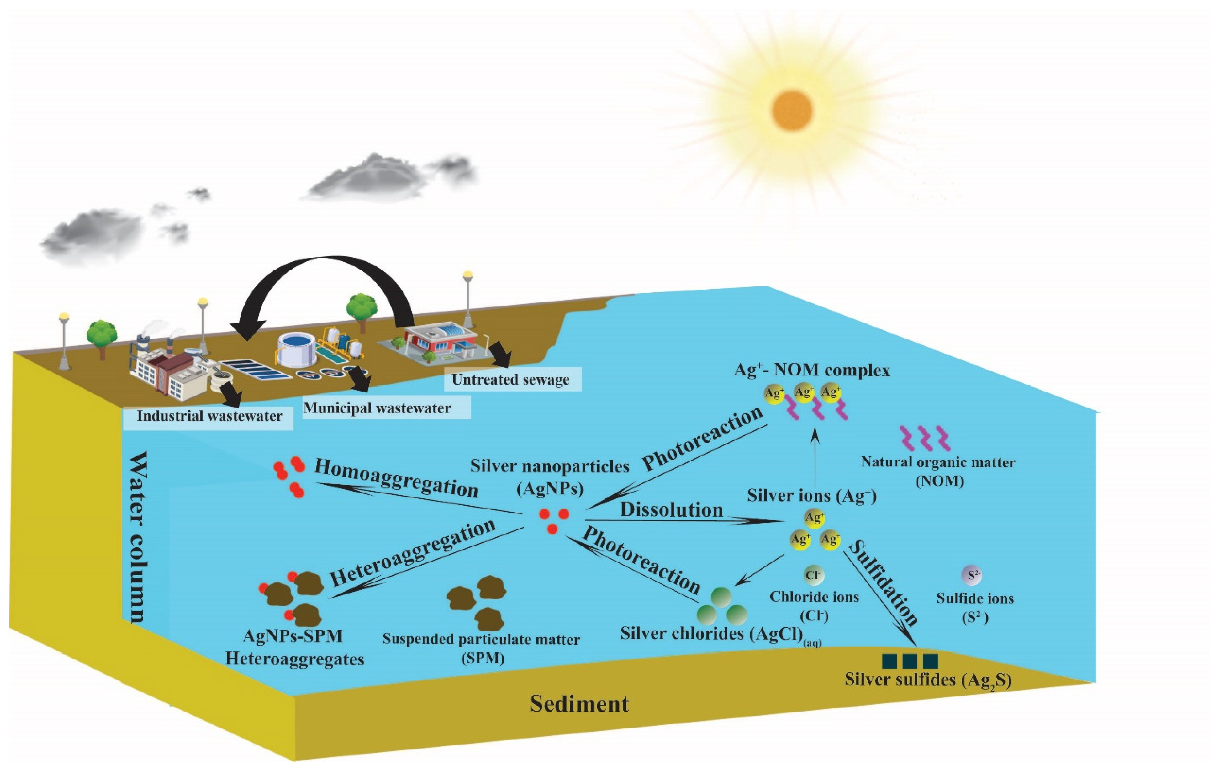 IJMS | Free Full-Text | A Review on the Environmental Fate Models