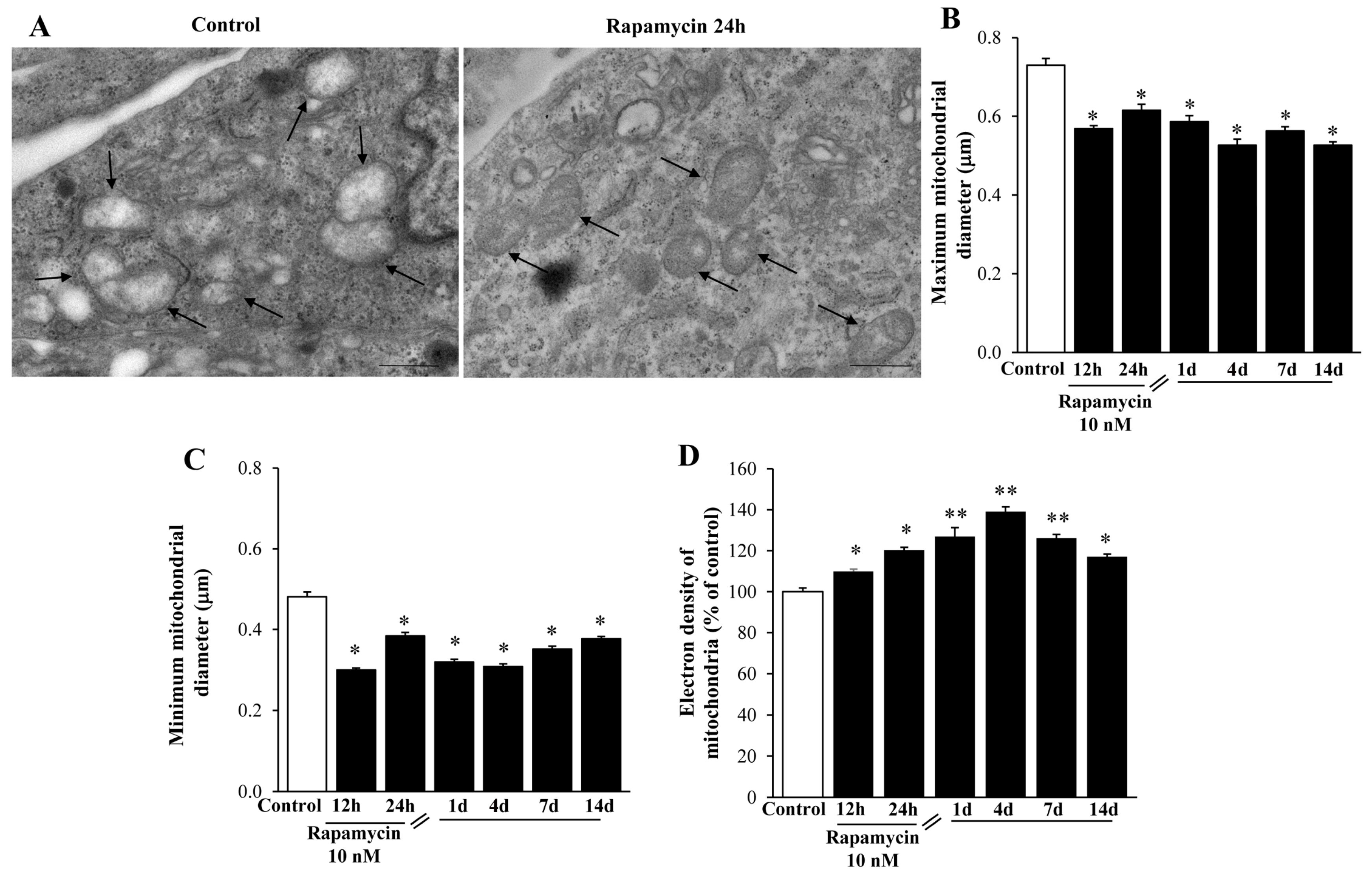 Ijms 21 04570 g008 Ijms 21 04570 g008