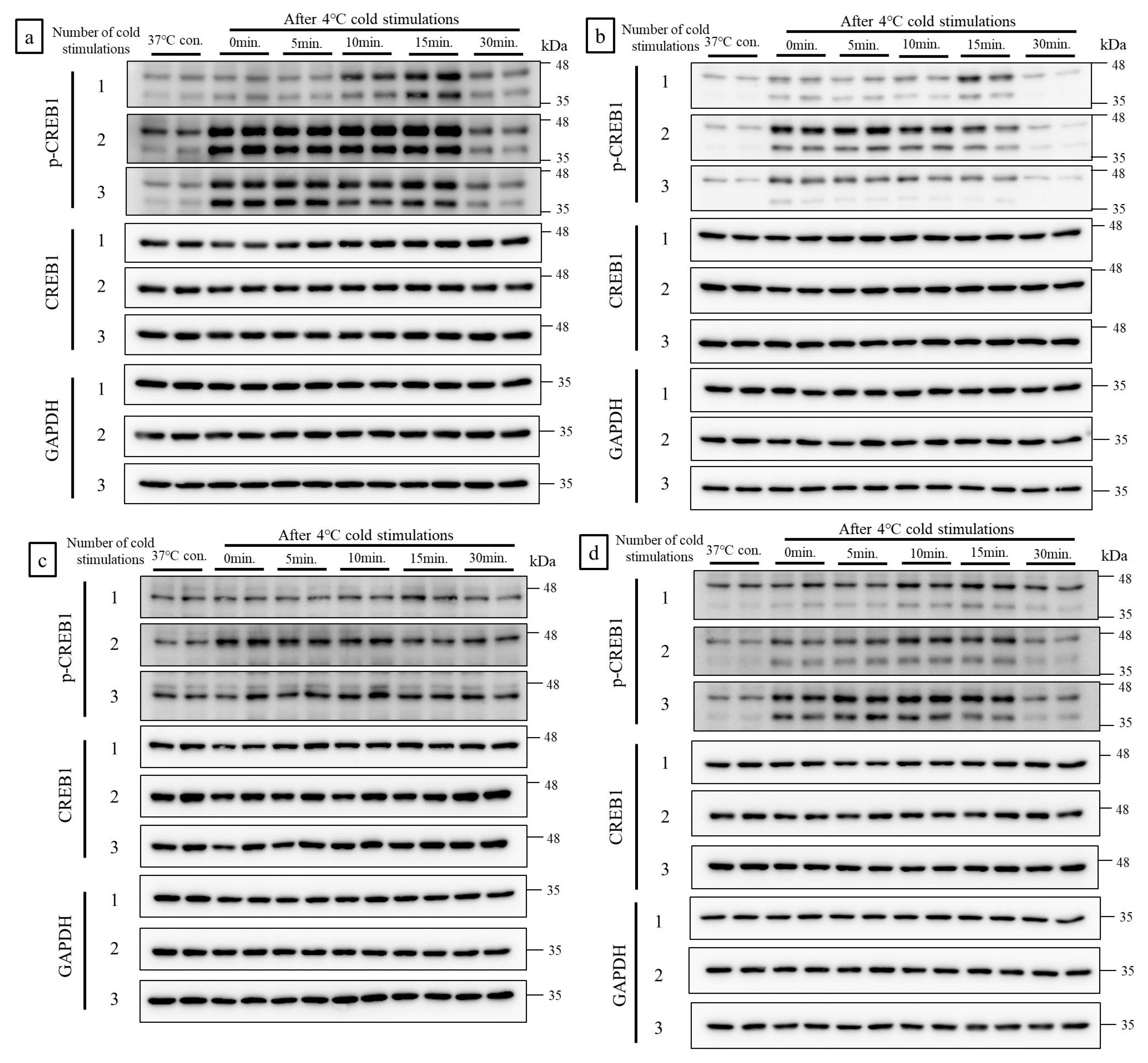 Ijms 21 04588 g001 Ijms 21 04588 g001