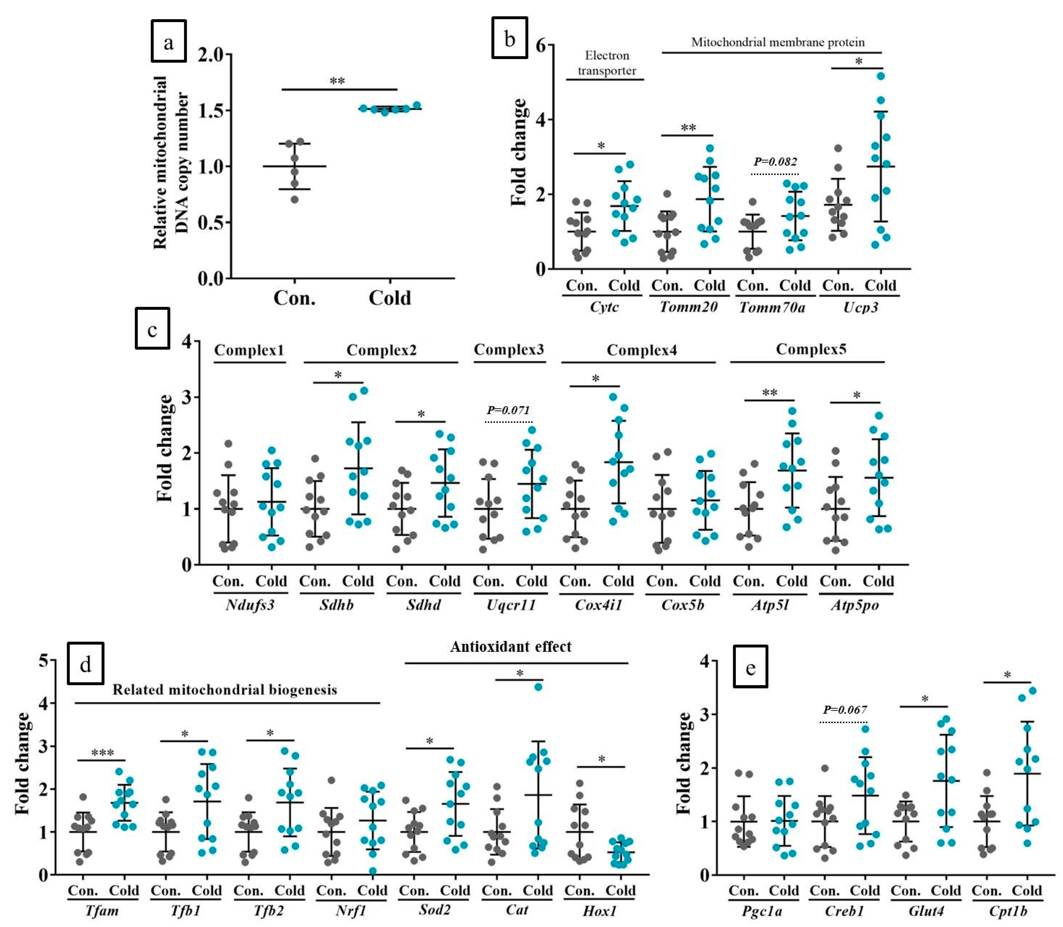 Ijms 21 04588 g006 Ijms 21 04588 g006