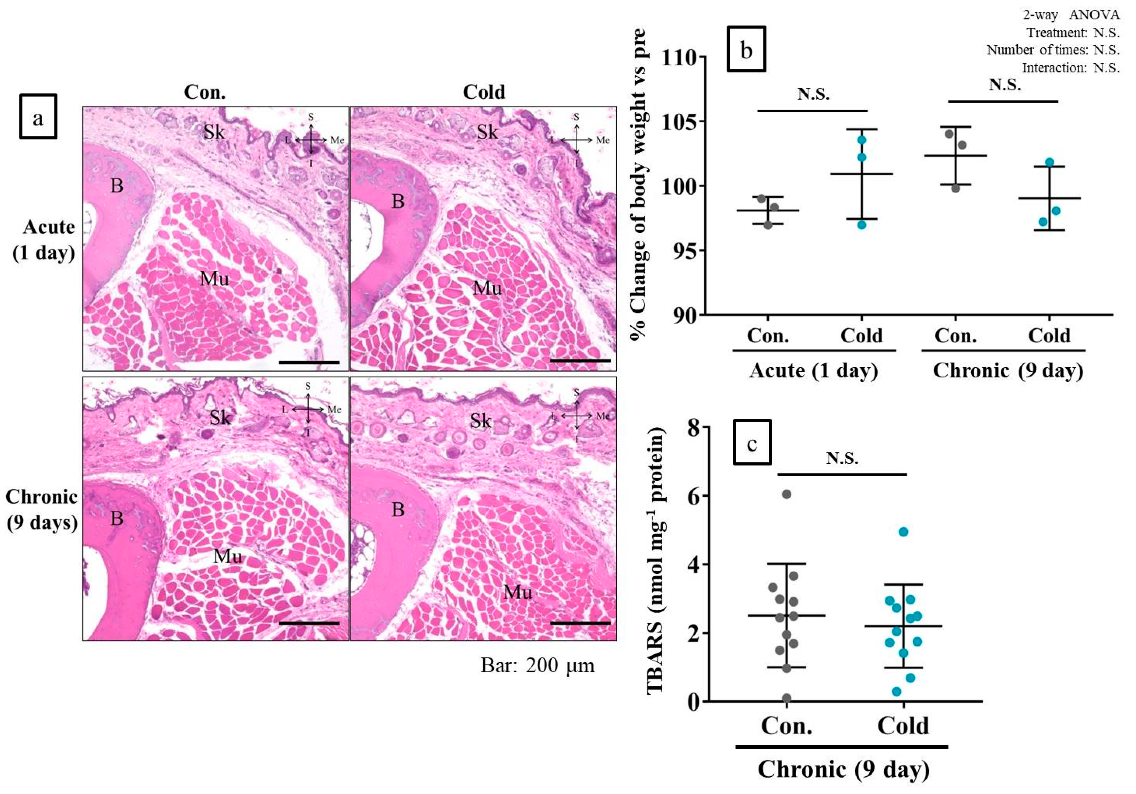 Ijms 21 04588 g007 Ijms 21 04588 g007
