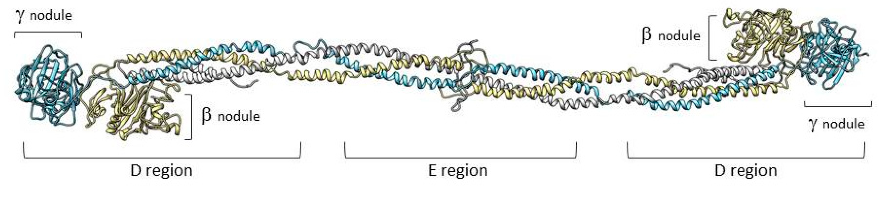 Ijms 21 04616 g001 Ijms 21 04616 g001