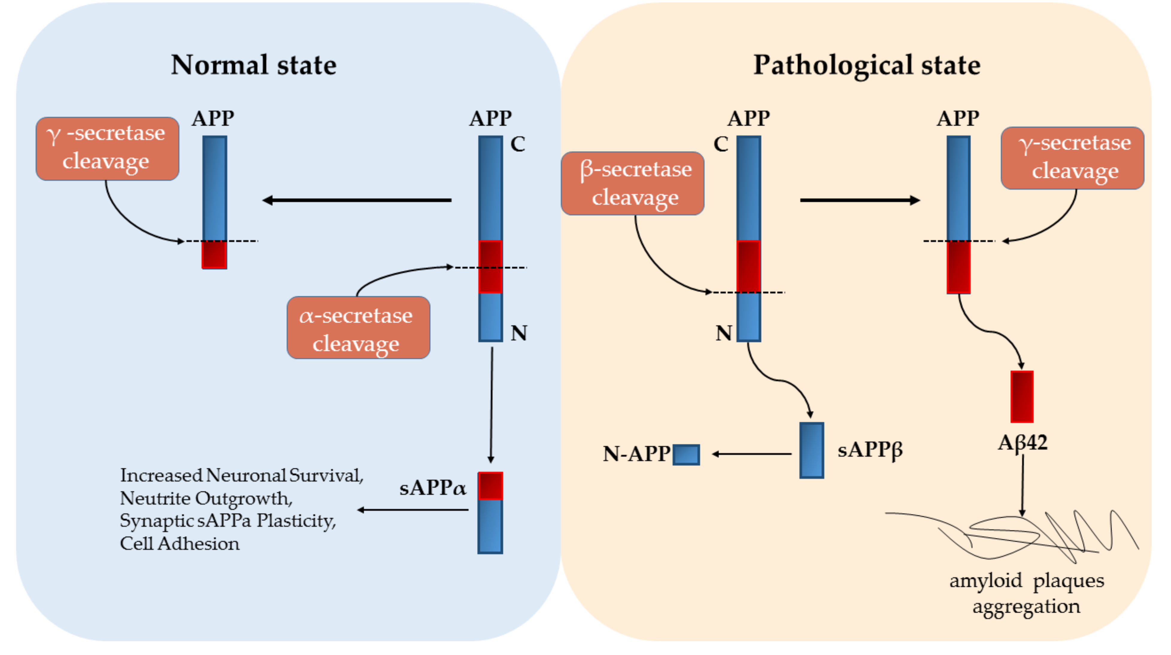 Ijms 21 04621 g001 Ijms 21 04621 g001