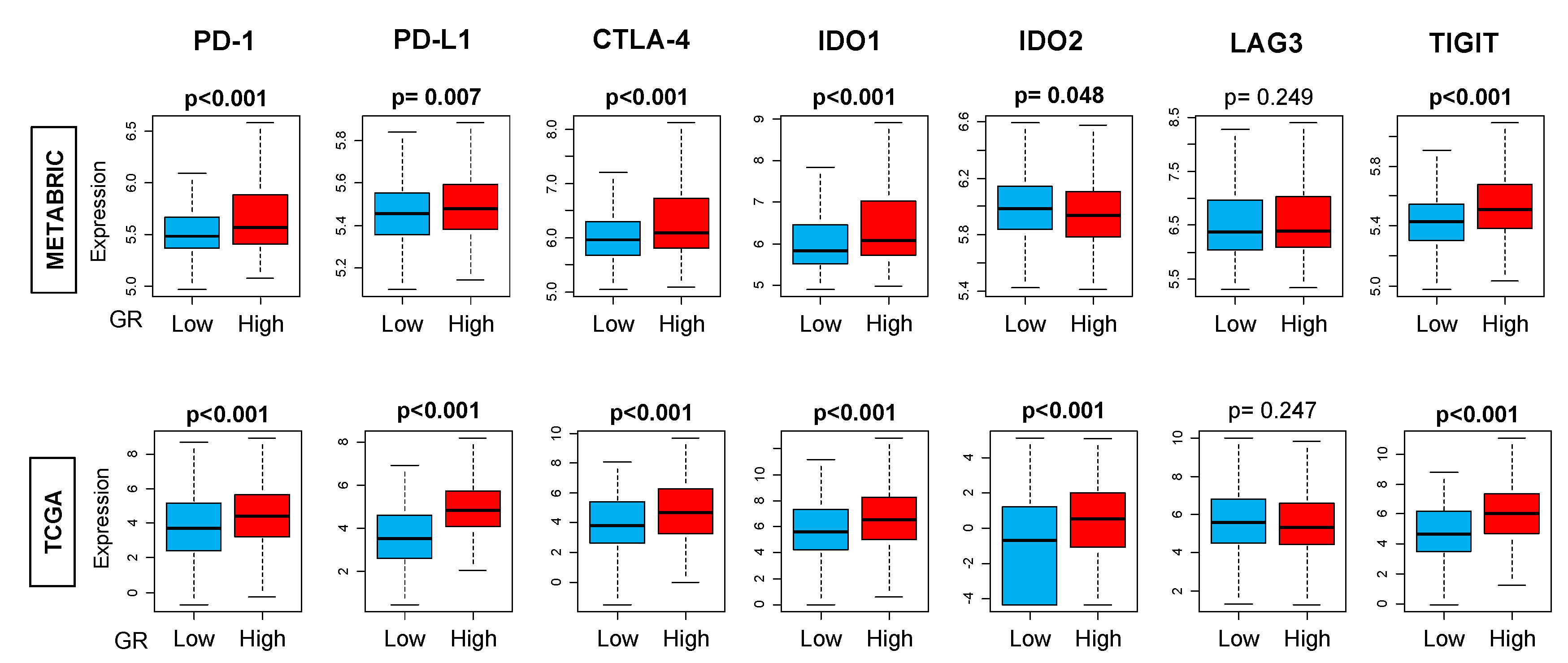 Ijms 21 04635 g005 Ijms 21 04635 g005