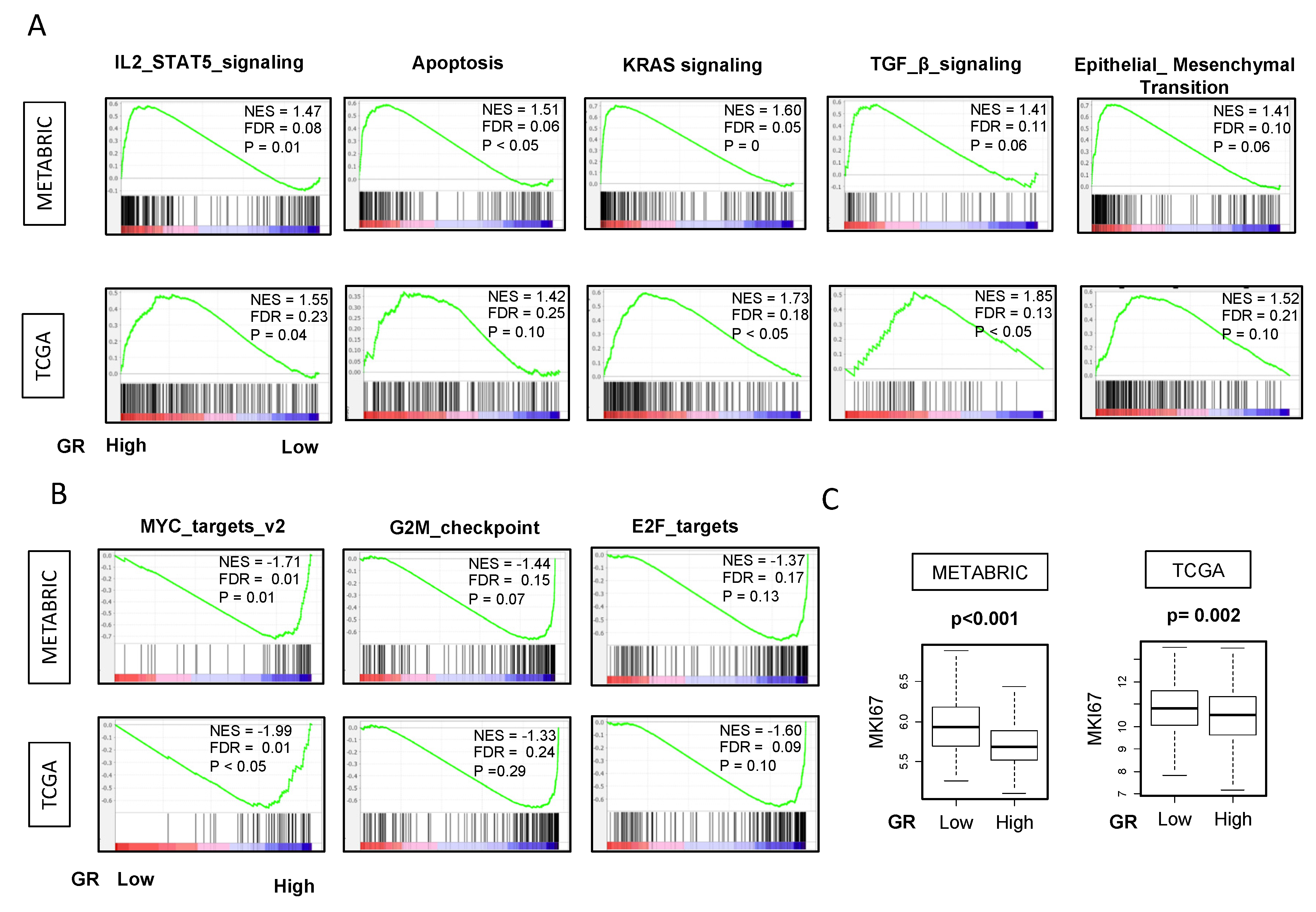 Ijms 21 04635 g006 Ijms 21 04635 g006