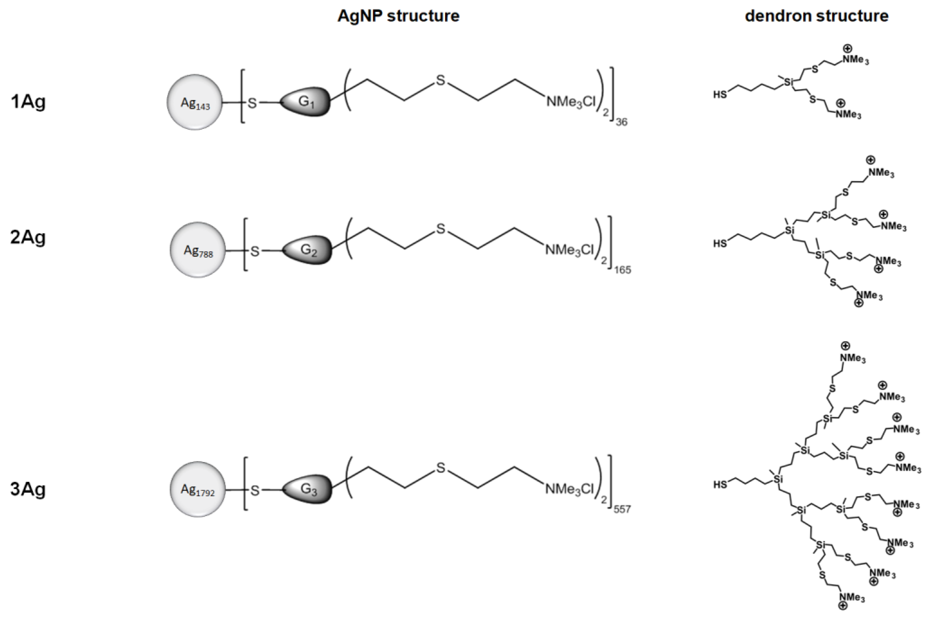 Ijms 21 04647 g001 Ijms 21 04647 g001